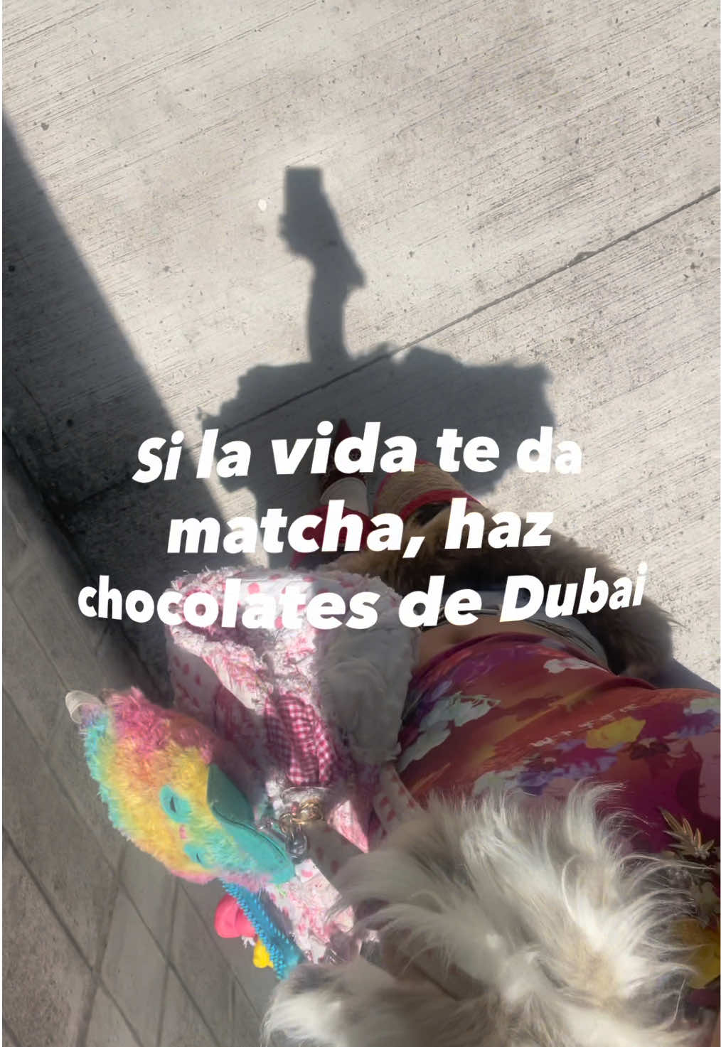 @chiquilina4a