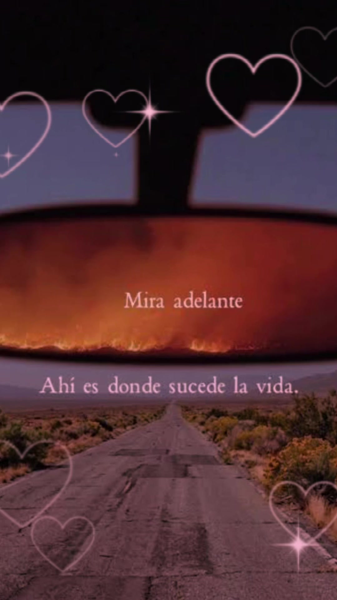 @Charlotte Zeferino