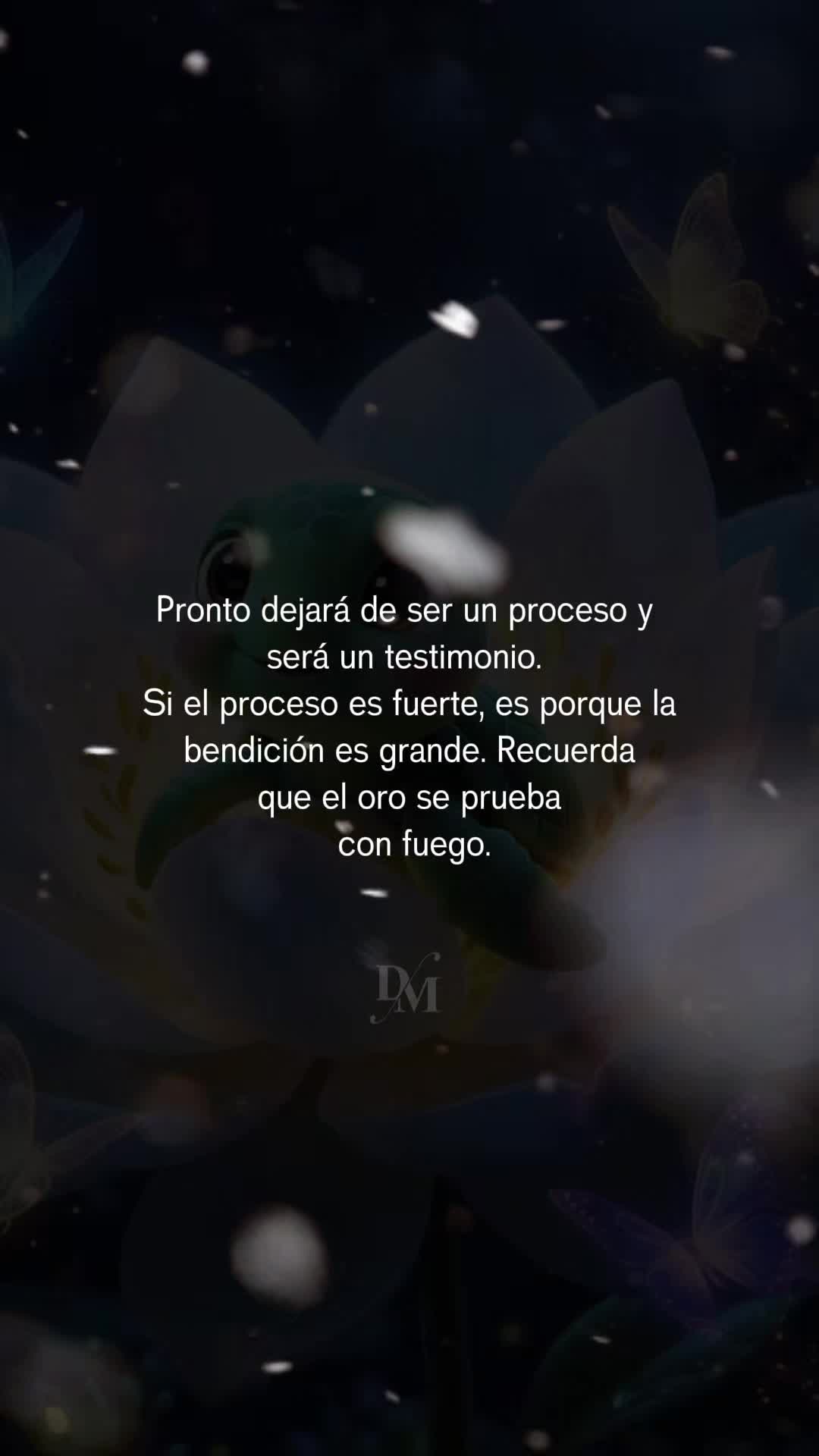 @Maribel 🌻