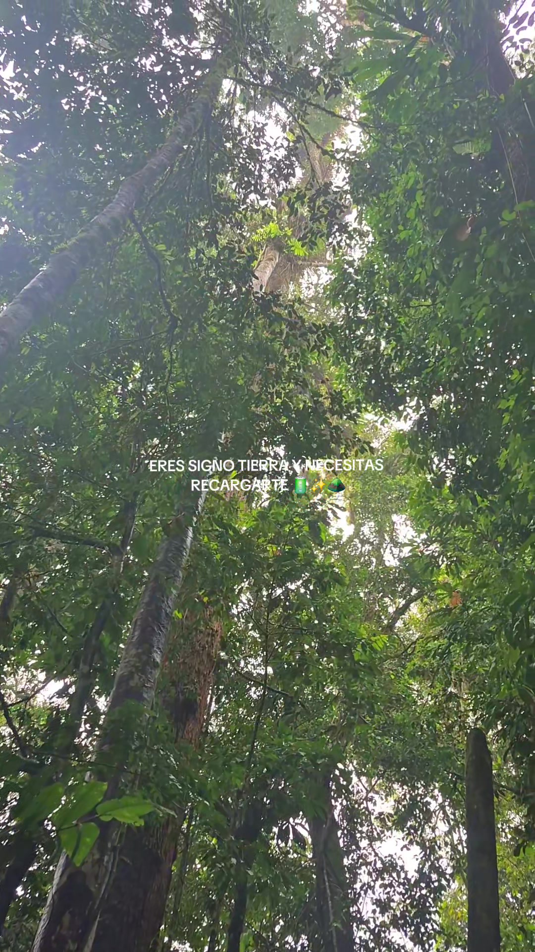 @Sandra Lizz 🍃