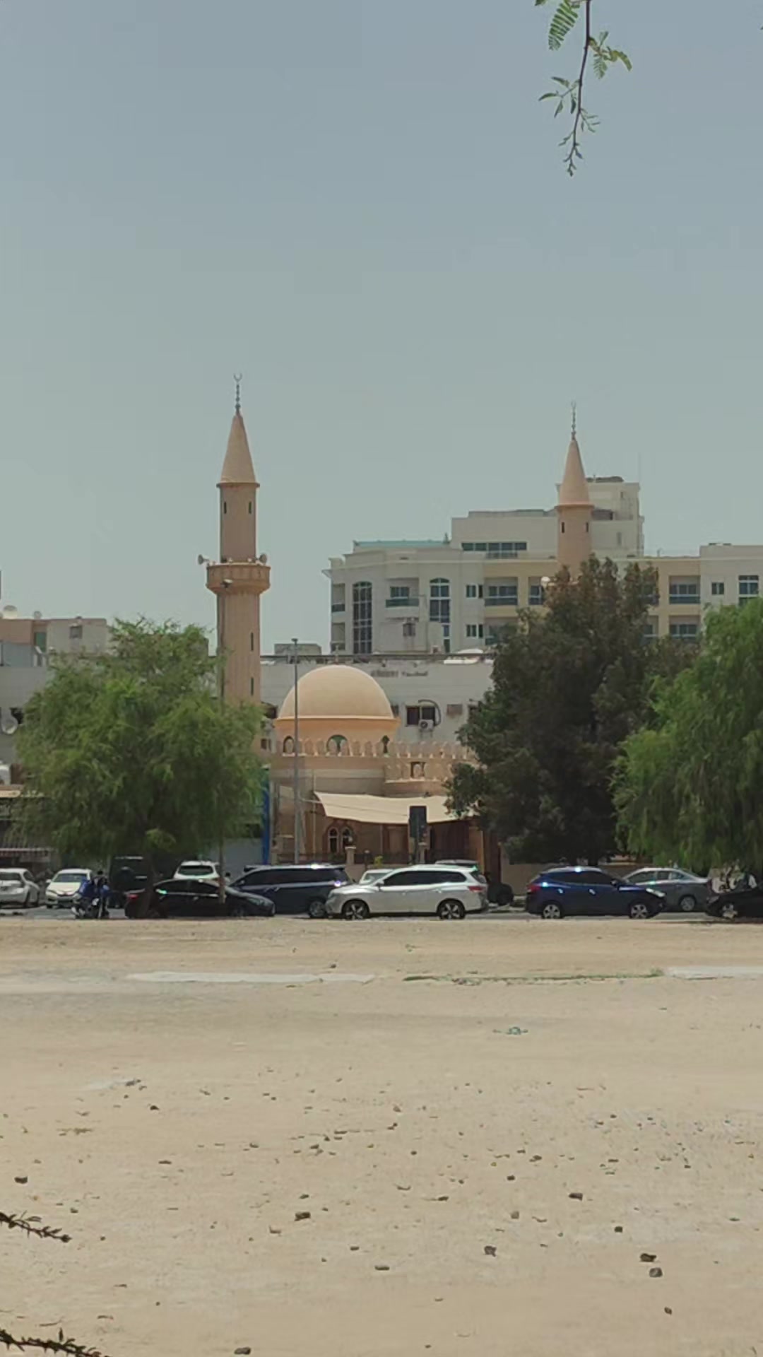 @فرحانة