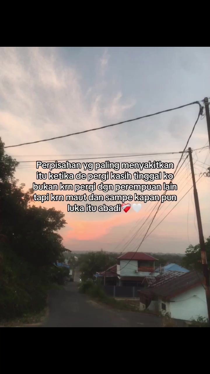@🌻