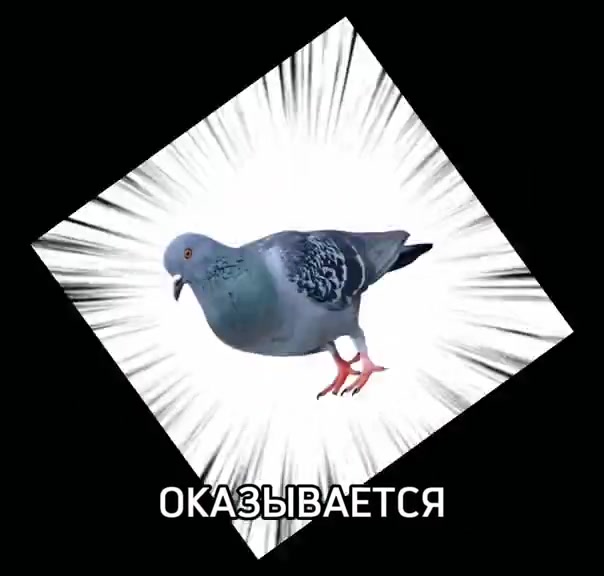 @𝔏𝔦𝔪𝔦𝔣❦