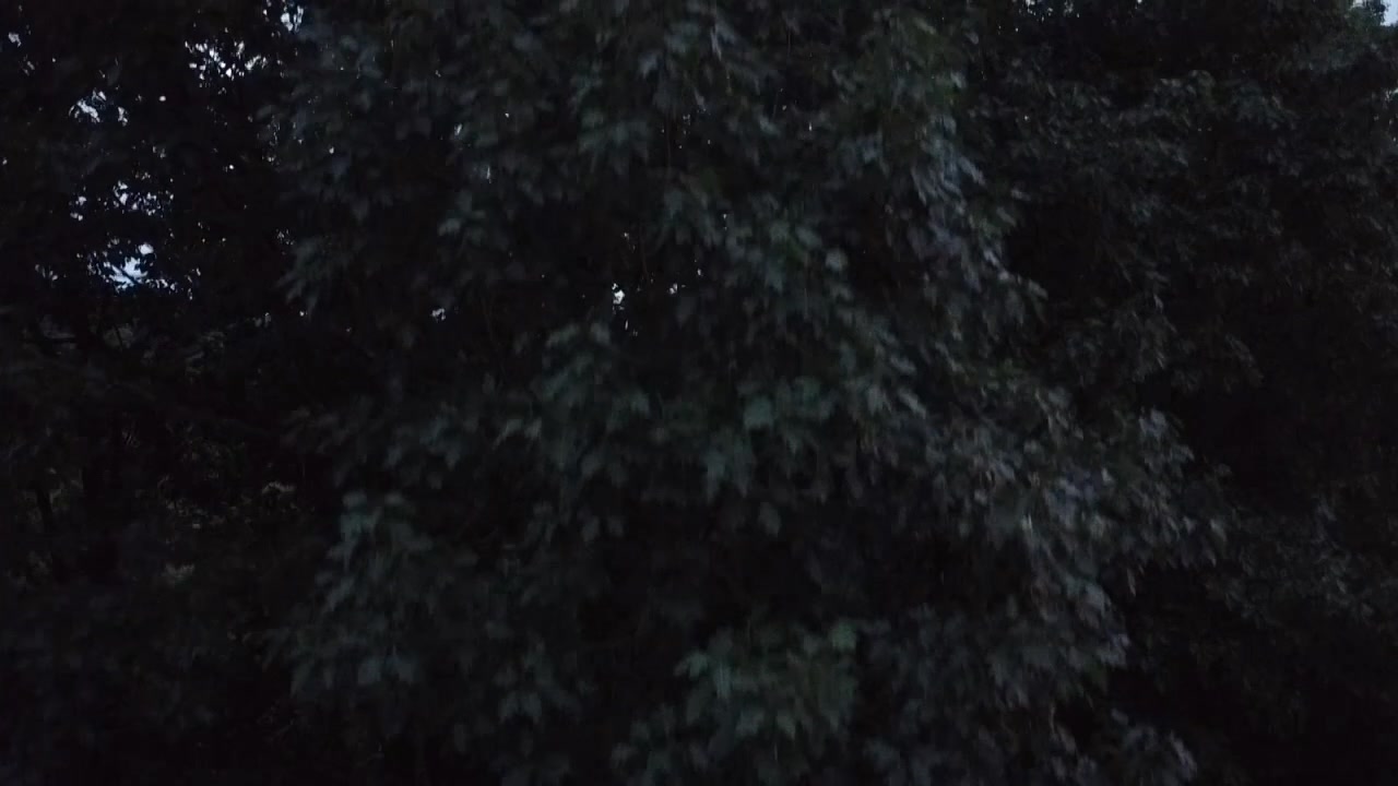 @Dodger331