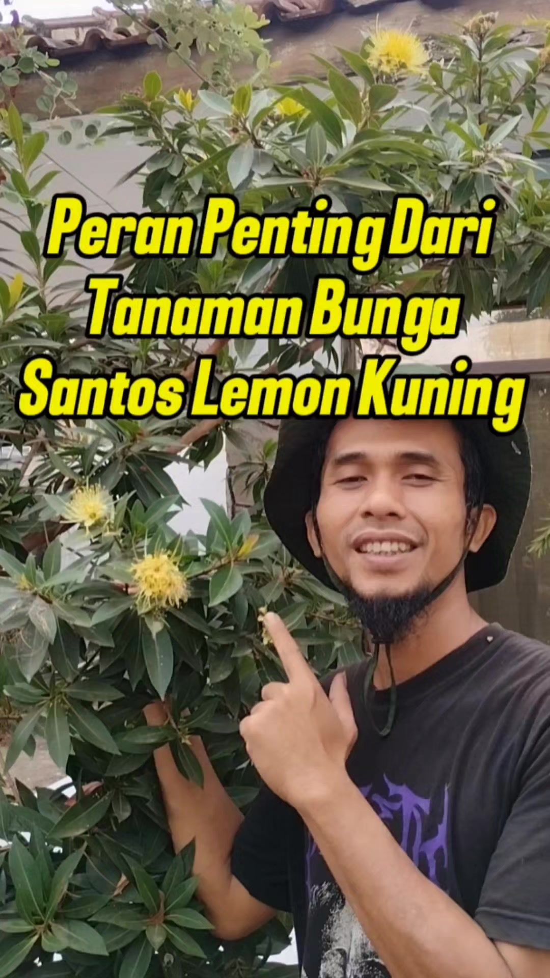 @Bukit Farming