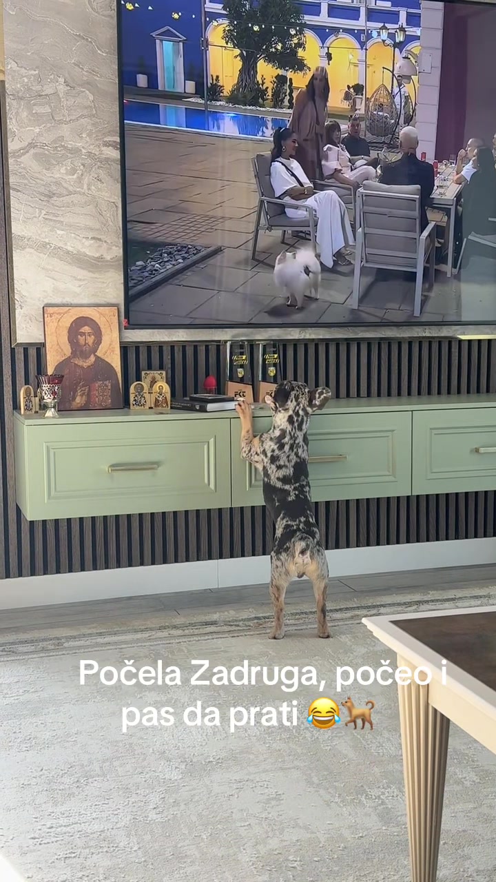 @Ivcicaa