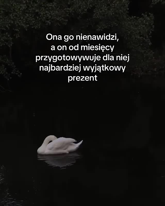@agata__moore