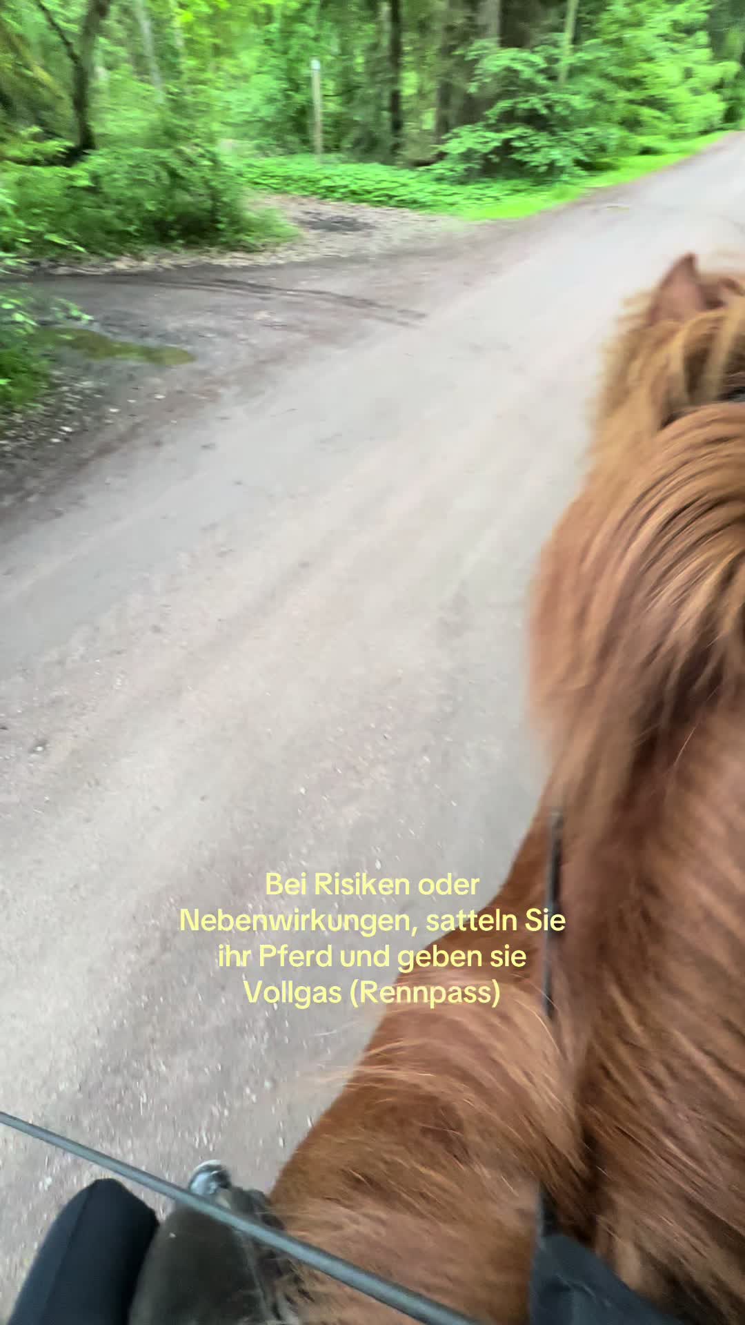 @H&aacute;li<3