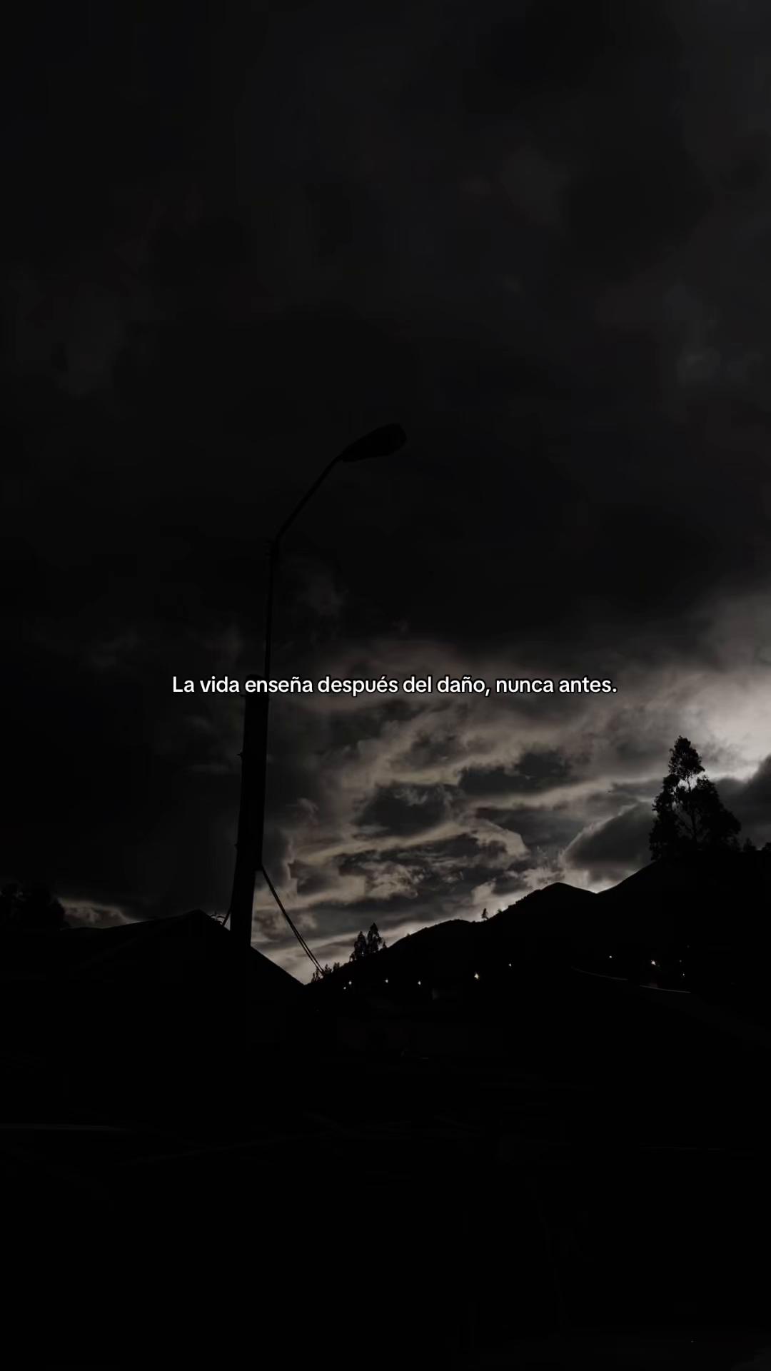 @DAVID⚡