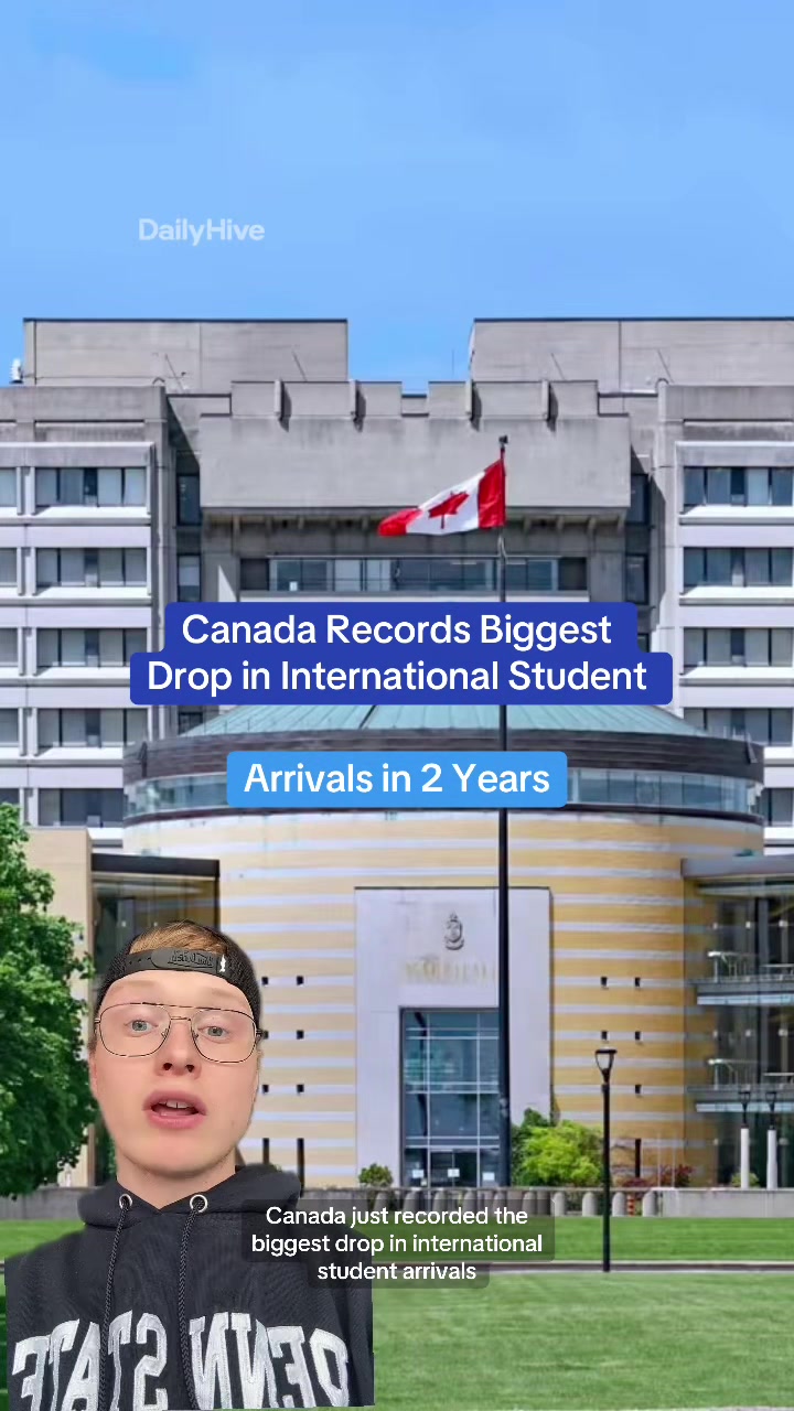 @dailyhivecanada
