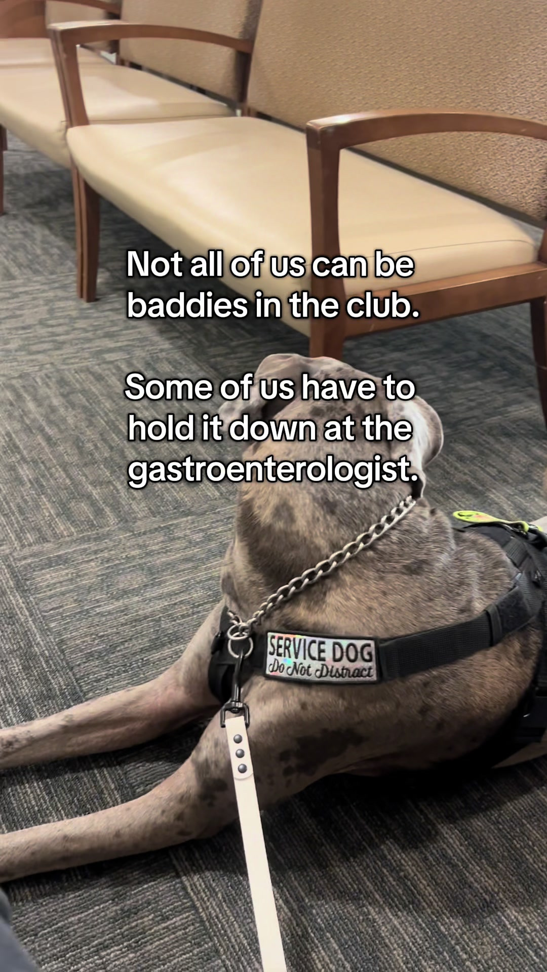 @lex 🐺⛓️