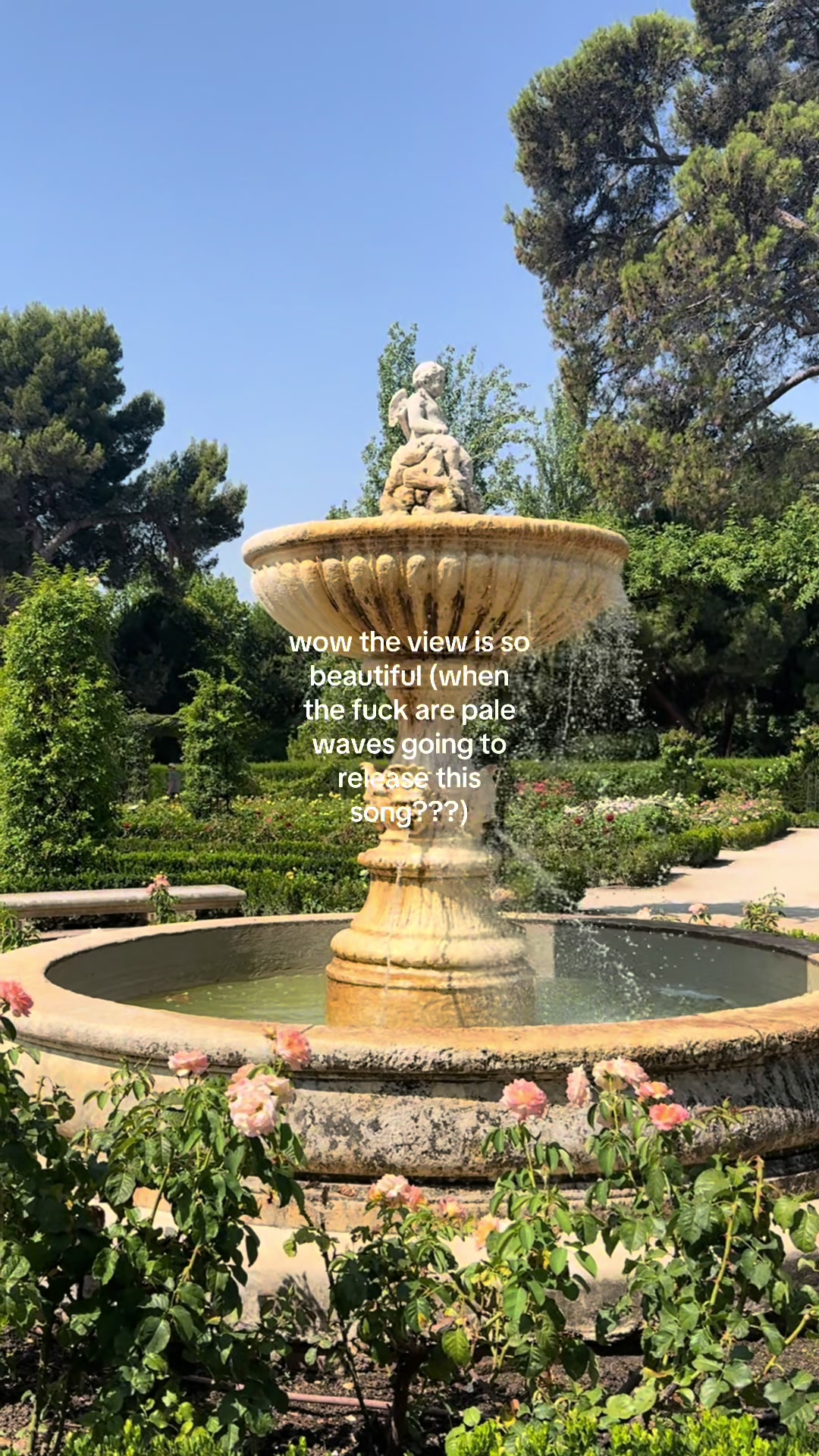 @MORGAN ✶