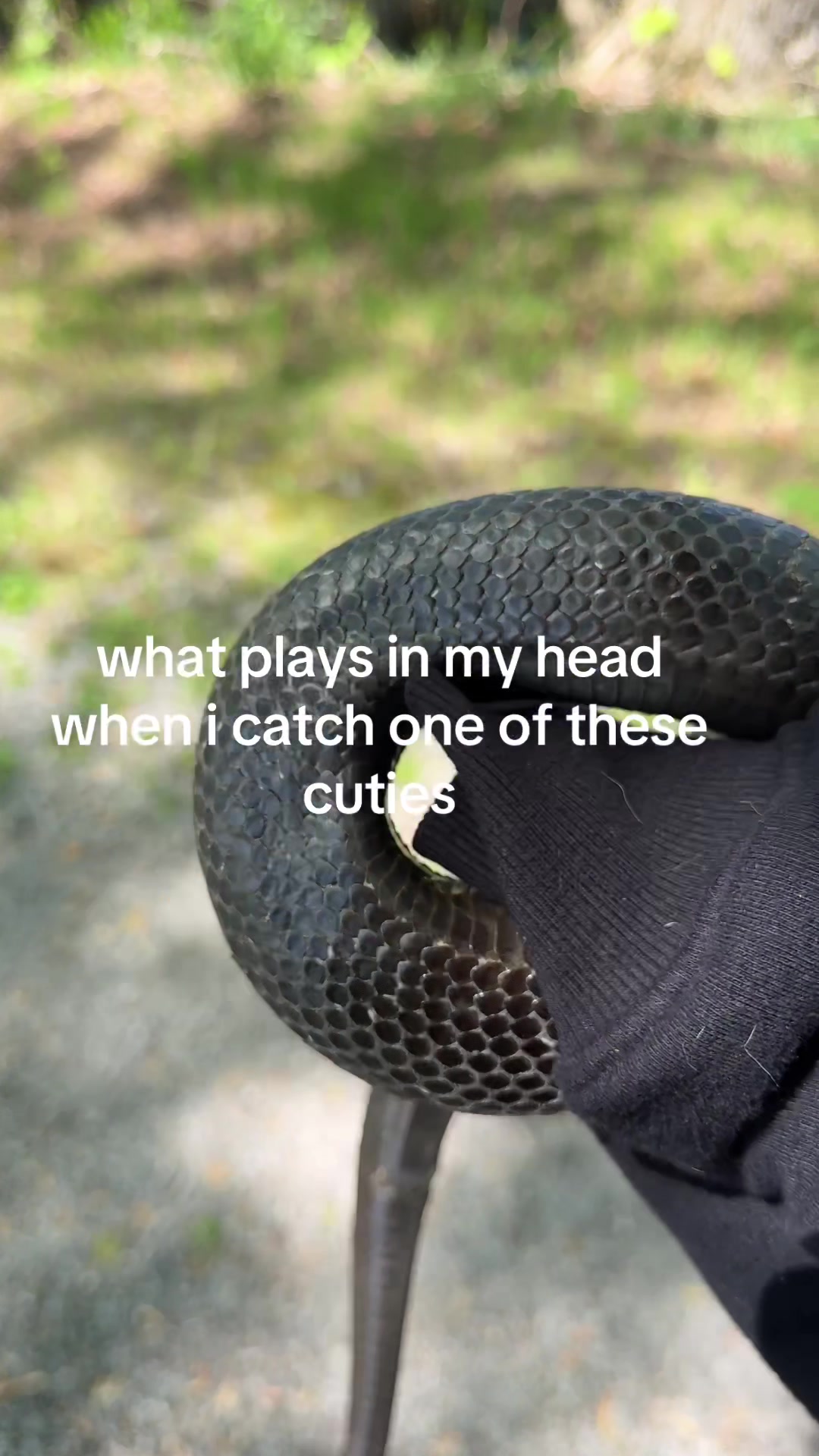 @bea