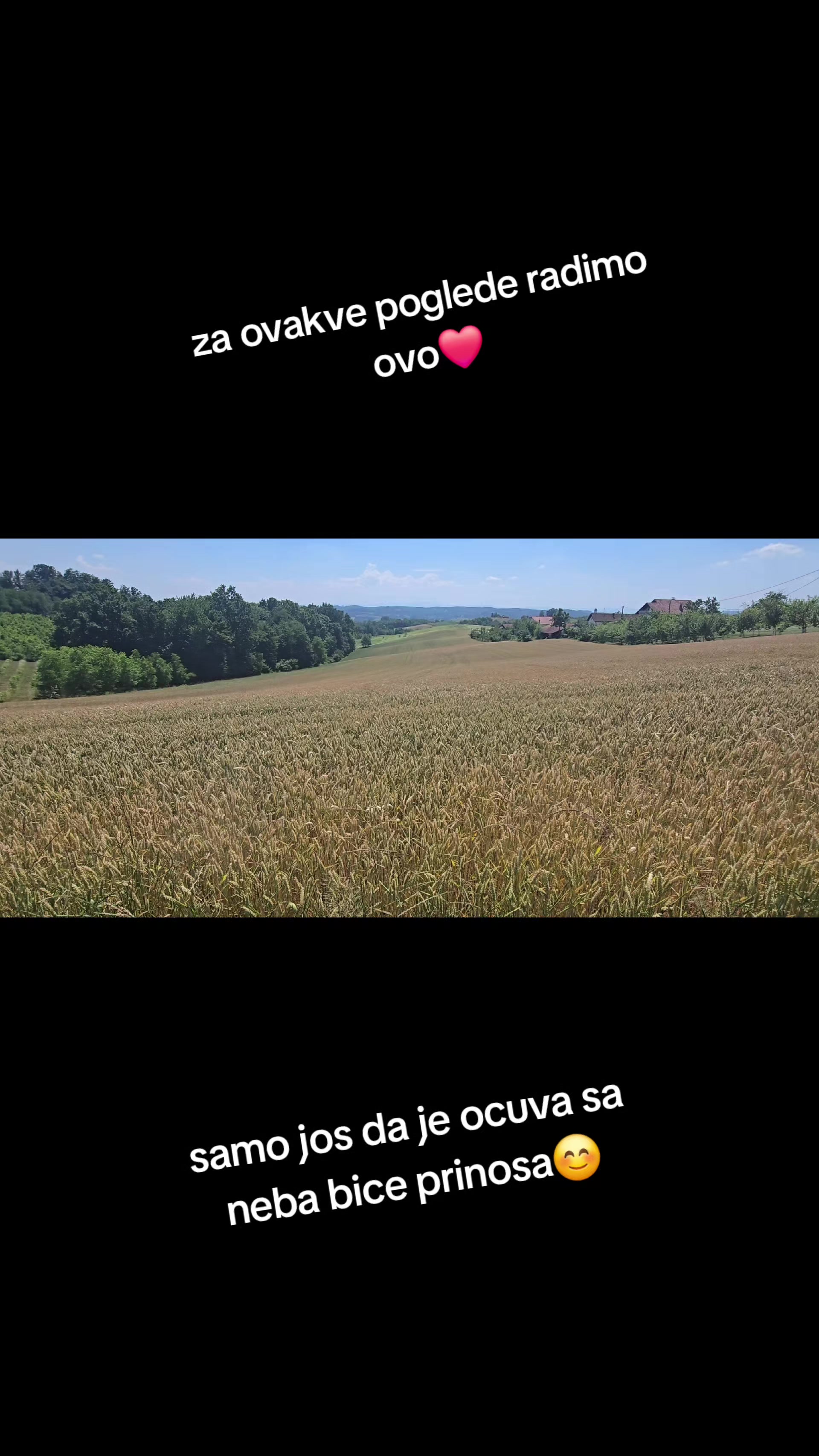 @FARMA MI&Scaron;URIĆ🐄😁