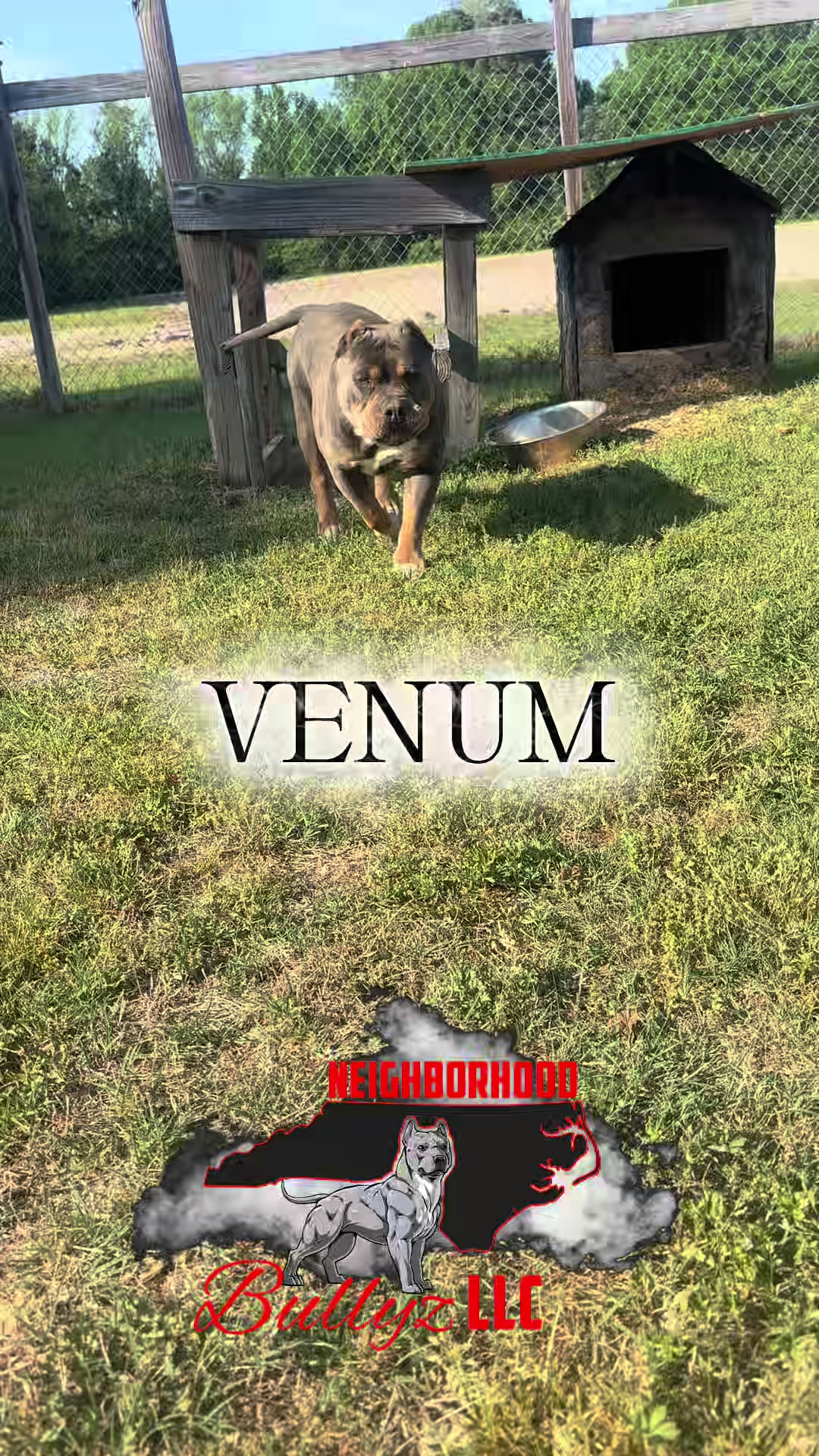 @neighborhoodbullyzLLC