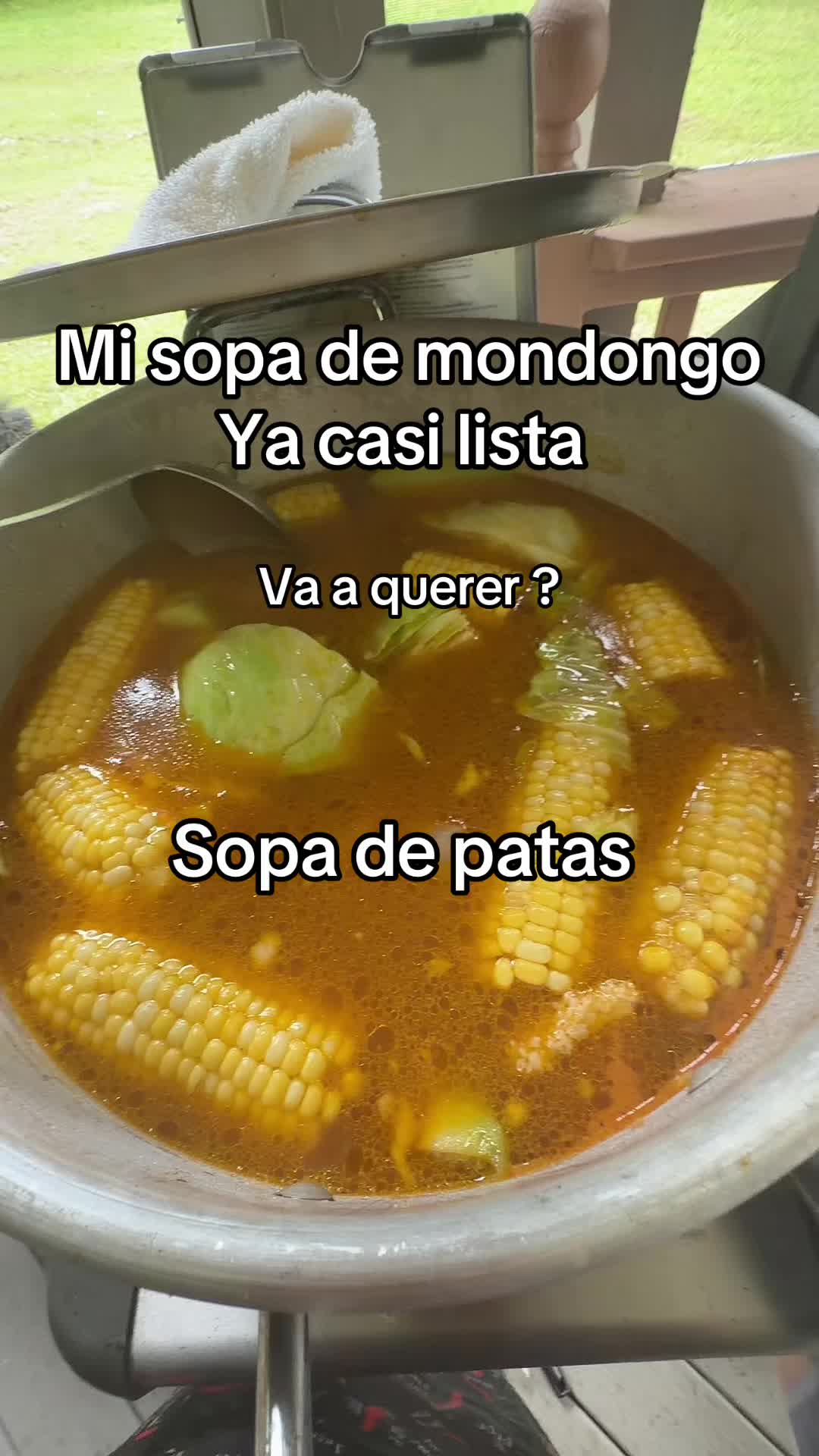 @Estela Dominguez