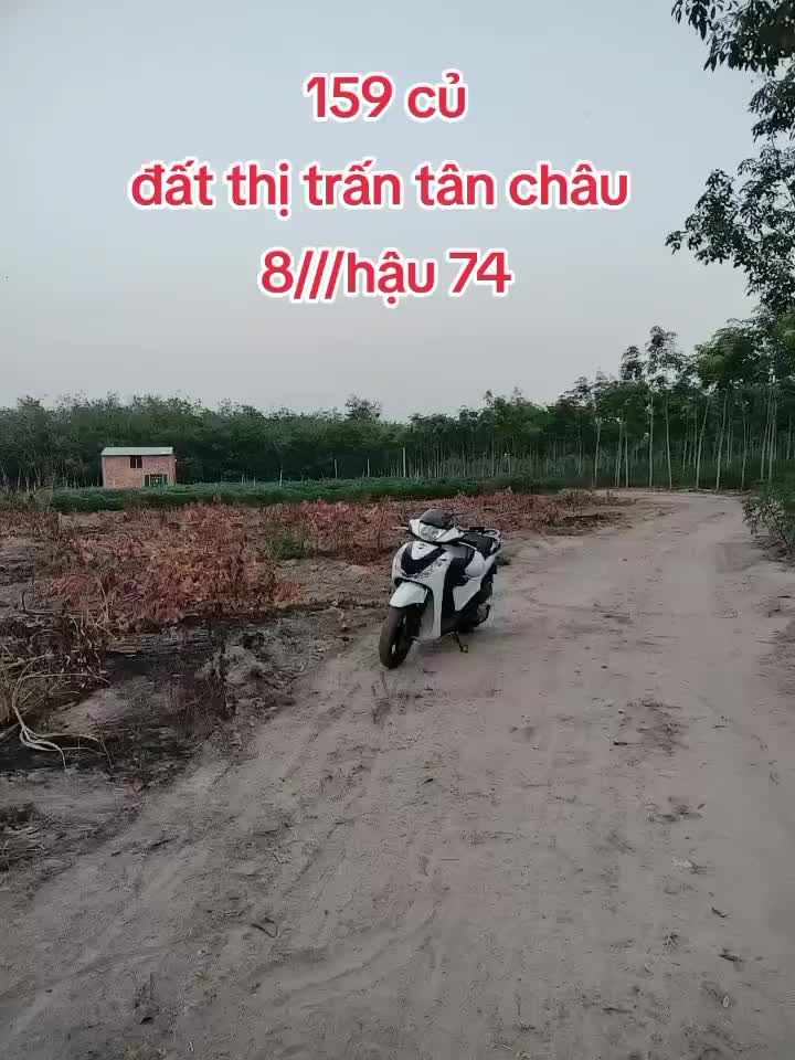 @phú sohs tổng hợp