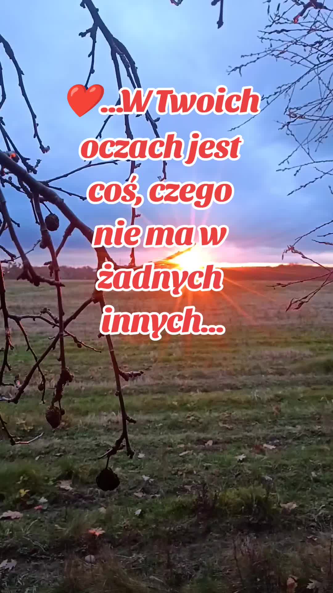 @bartek_marek