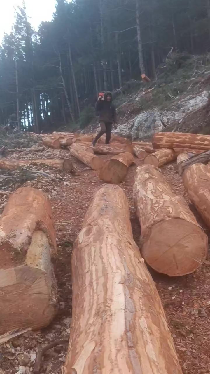 @ibrahim odabaş