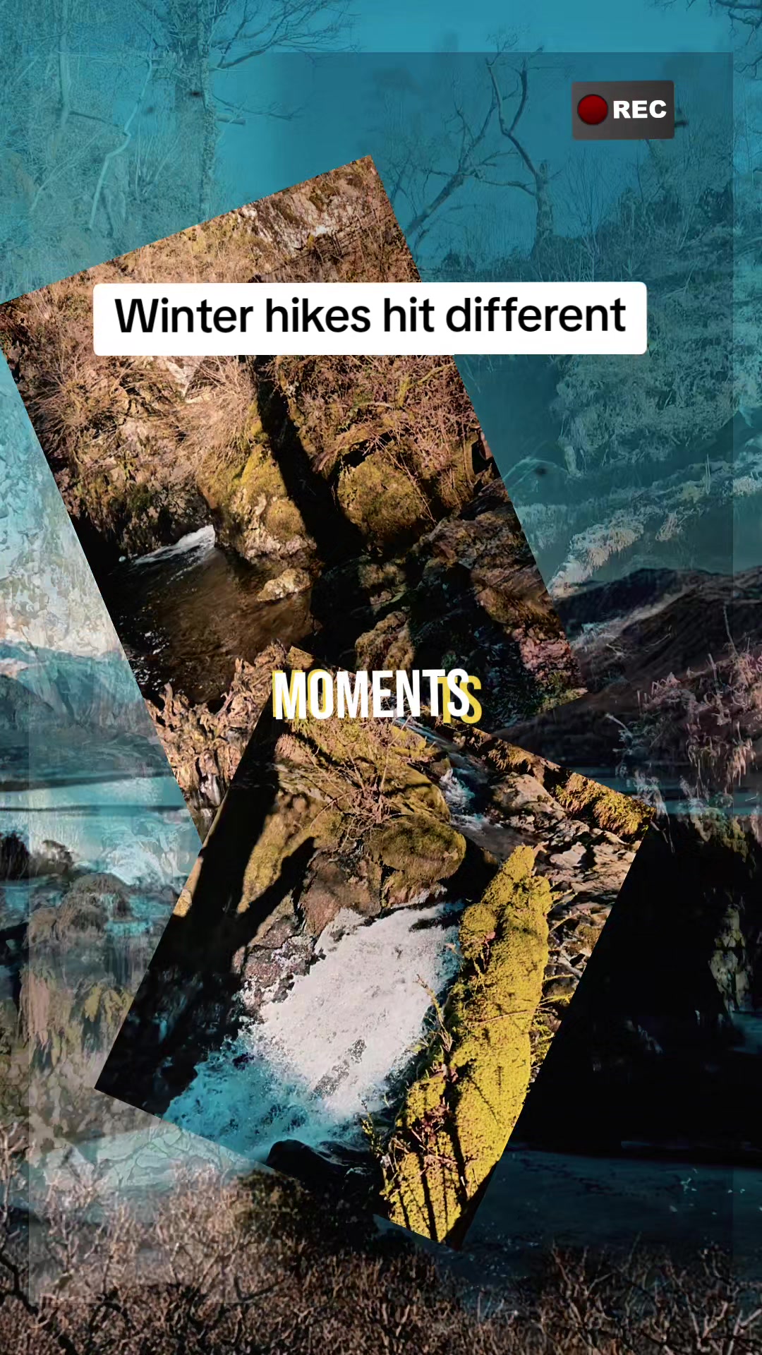 @WhereIsTrixie