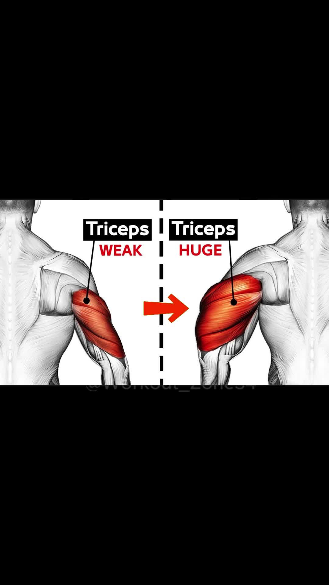 @workout_zone34