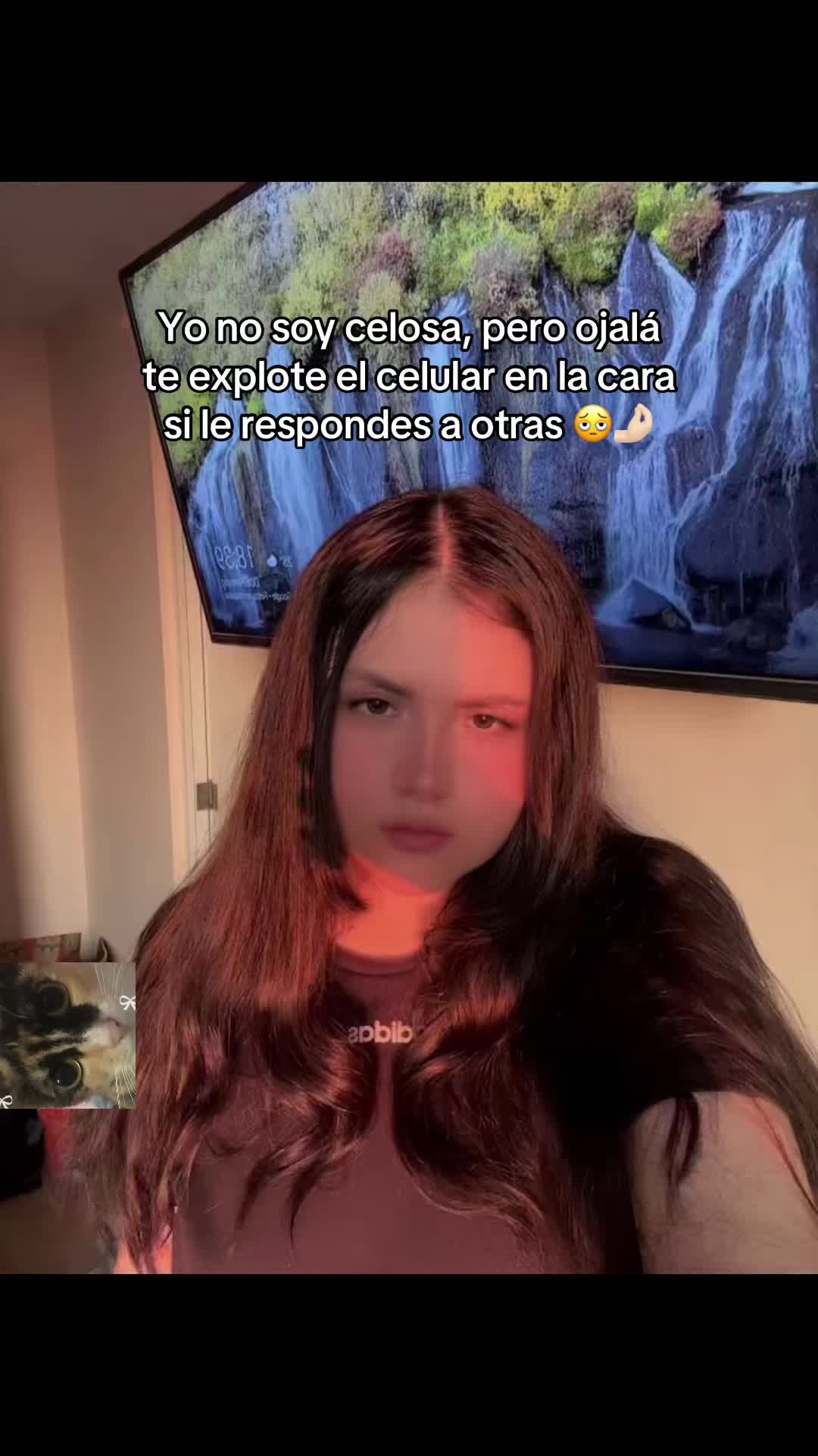 @posmiau.pe