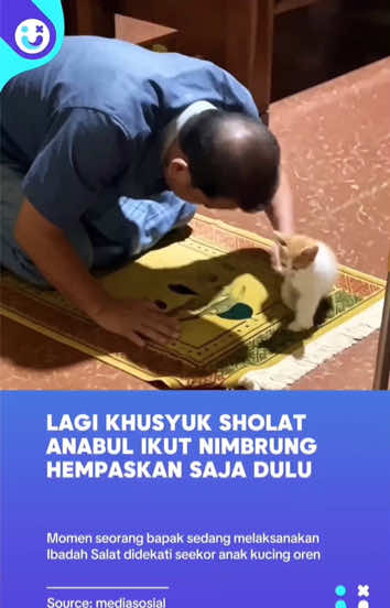 @hiburanlayarsentuh