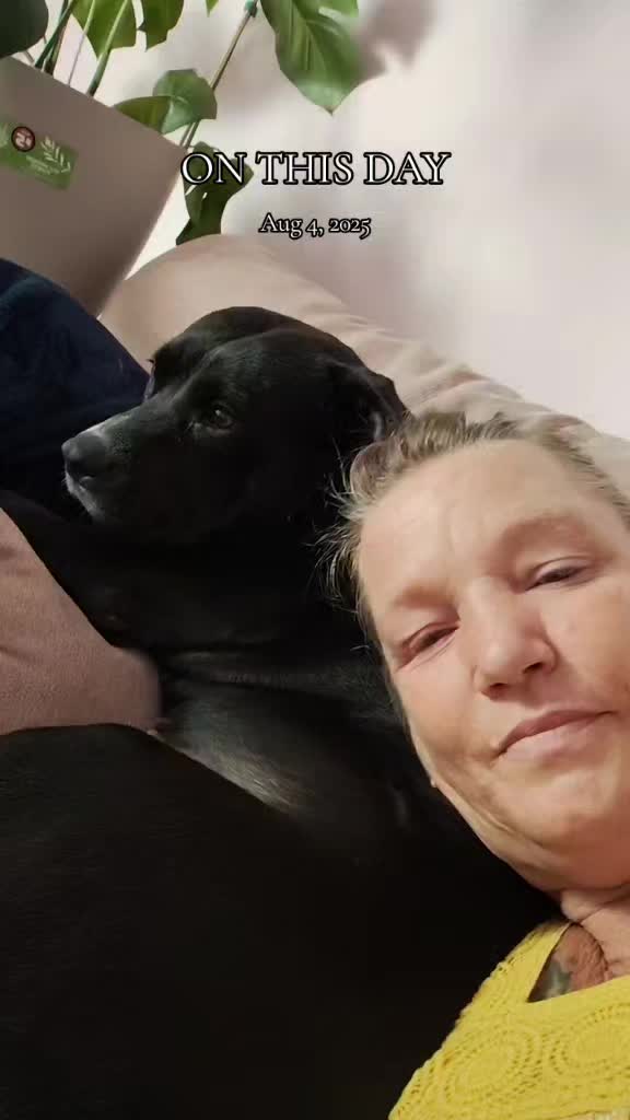 @oldfatchick