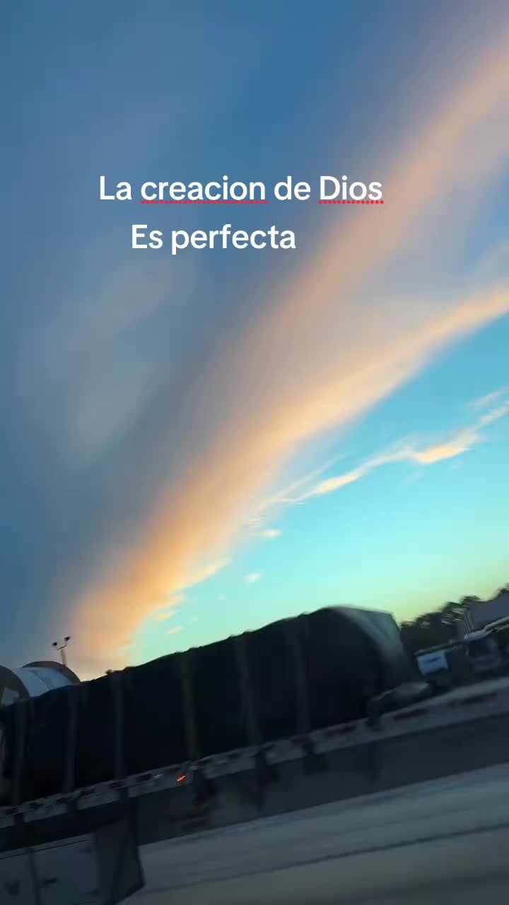 @Catrachita Medina🌻🍃