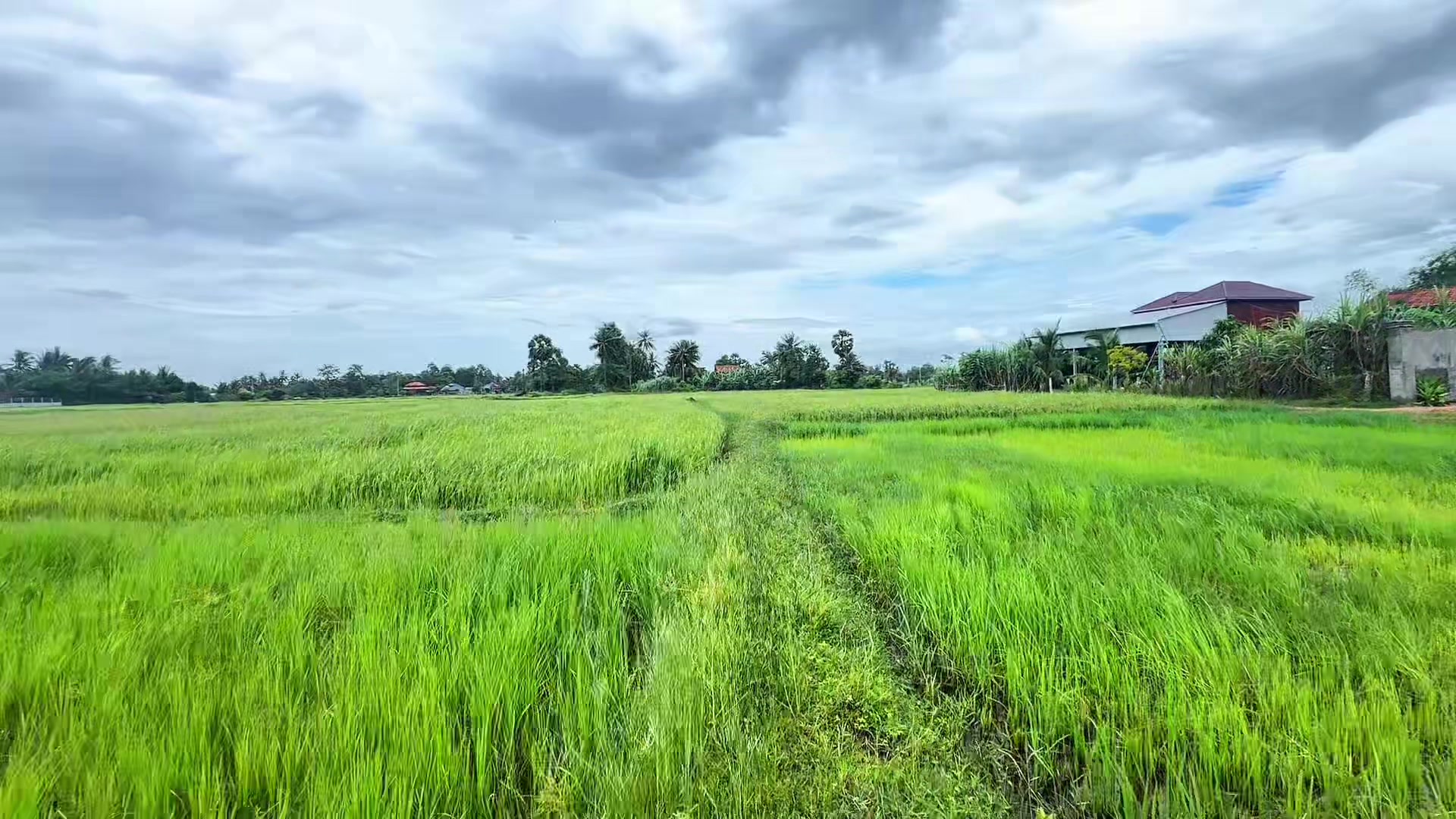 @សឿន វណ្ណា - सोएन् वण्णा 🌾💚🌅