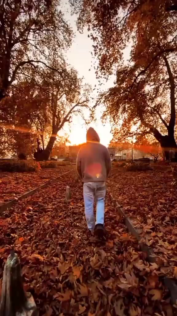 @A. Z