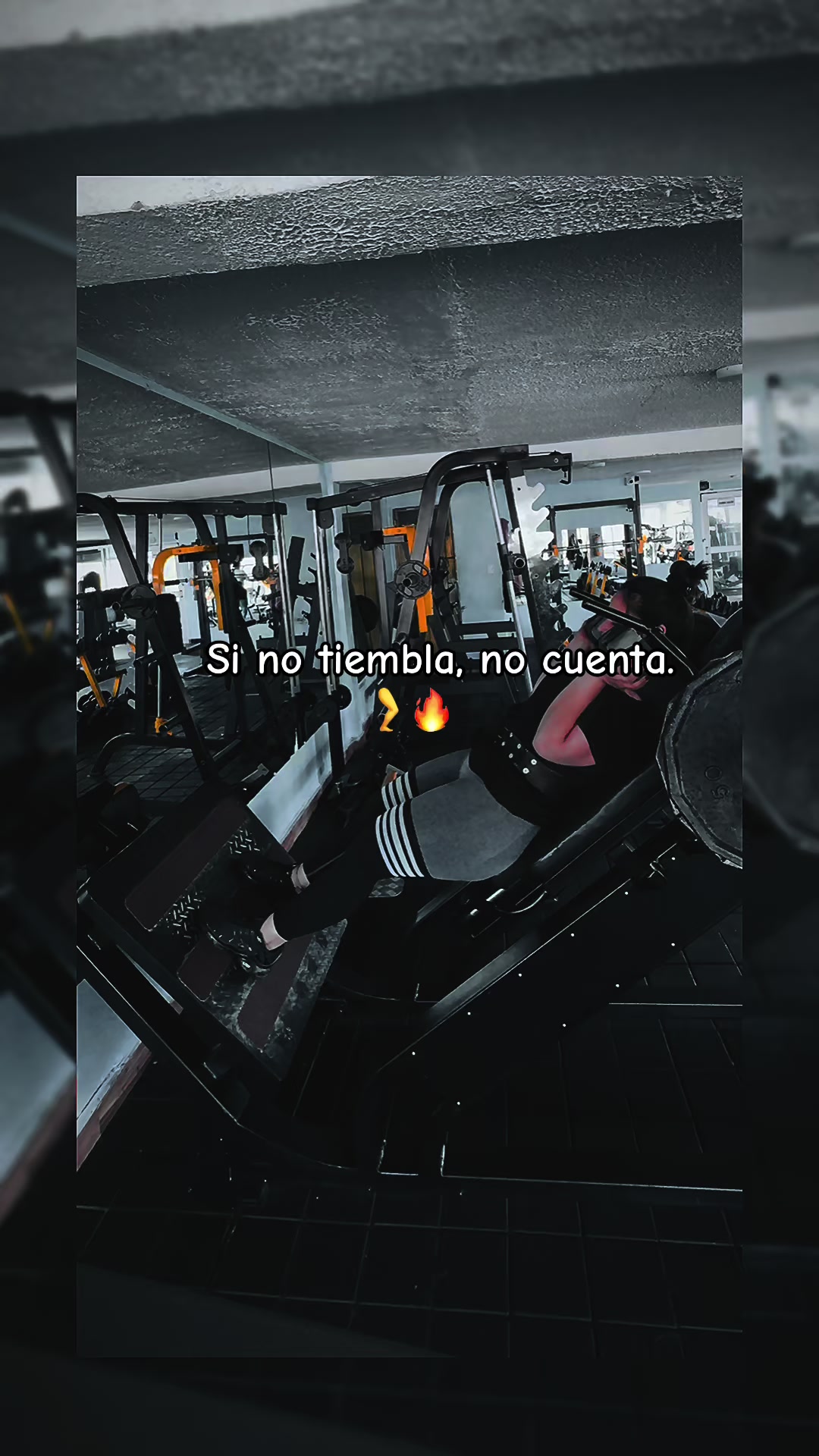 @Marcela