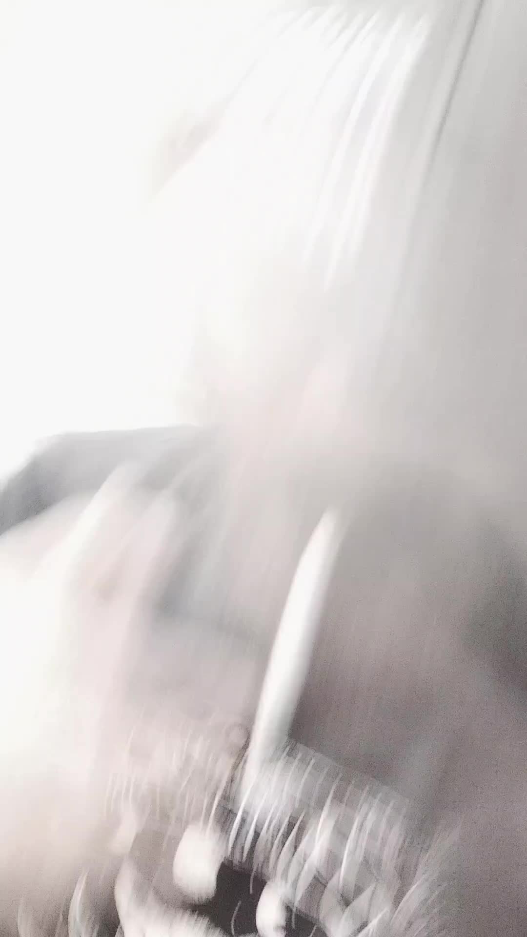 @EmeraldDaLimeG59🍋&zwj;🟩💀🤍🎧