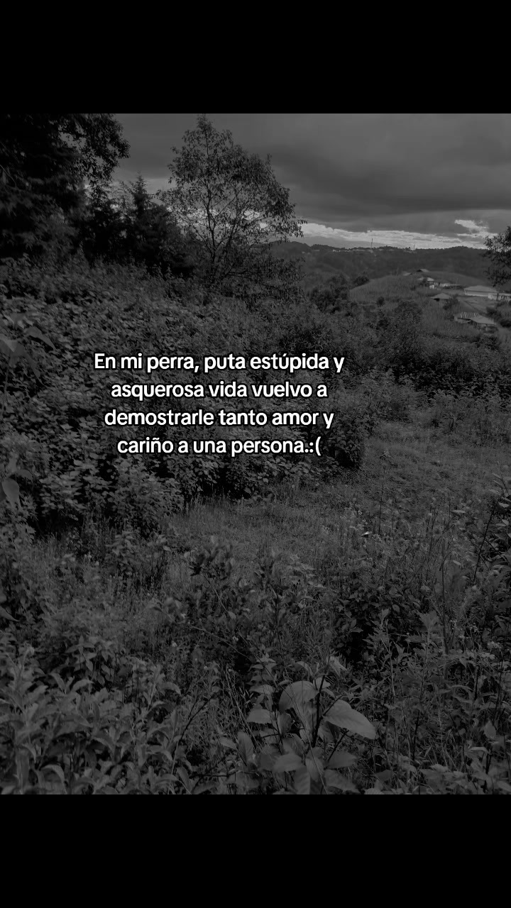 @🌺♡♡M♥️r♥️s♥️l♡ventura 🌷🙏🍀