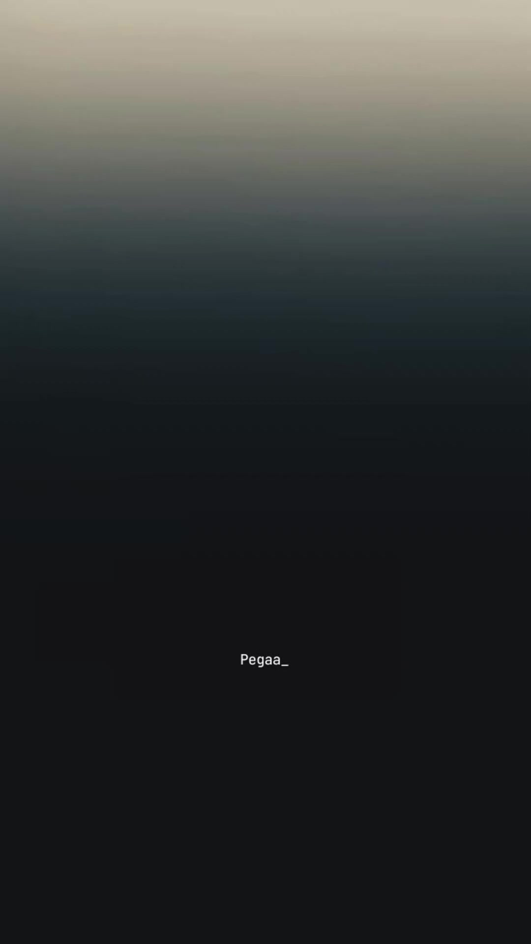 @Pegaa_