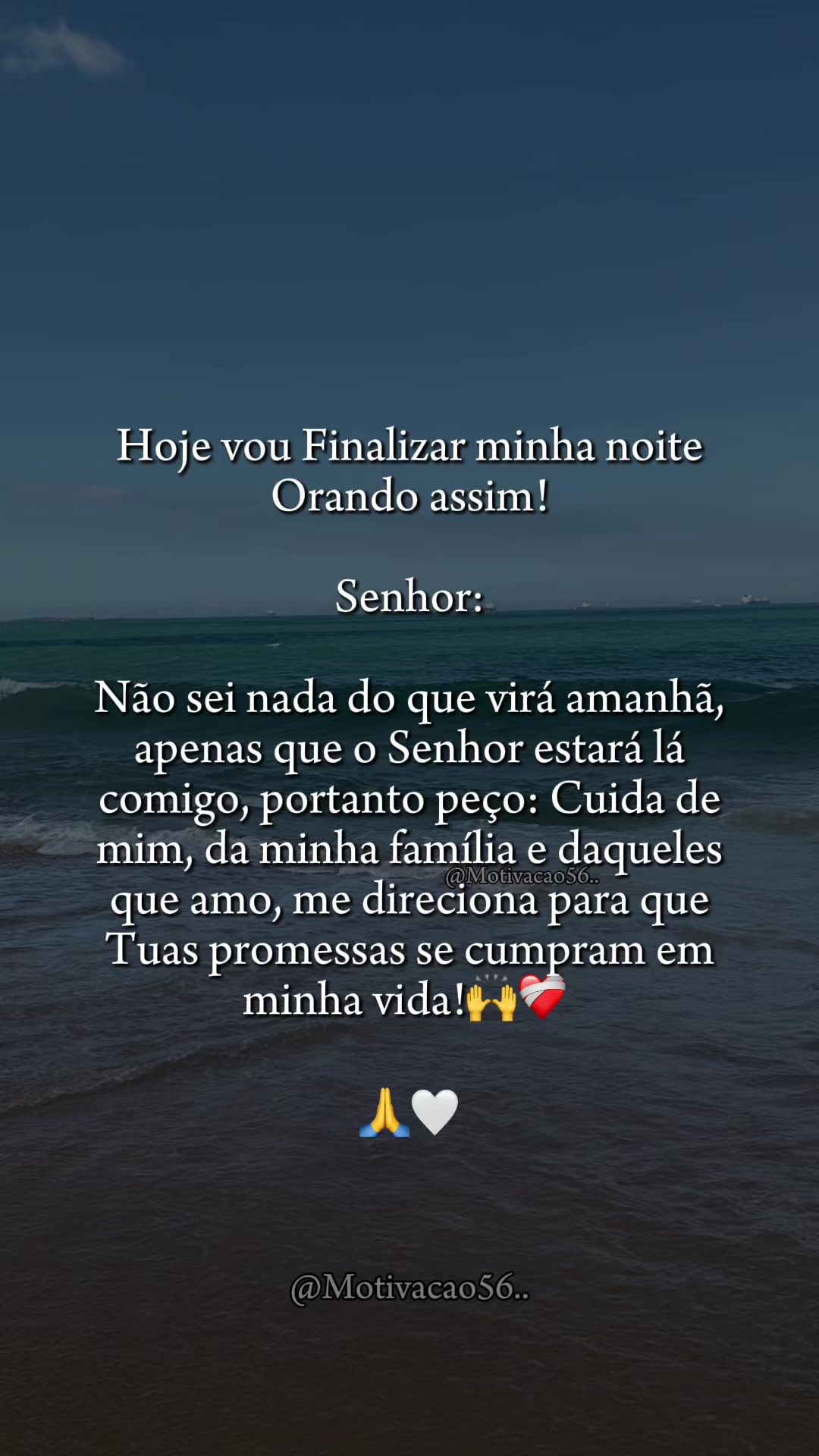 @flavinha8124
