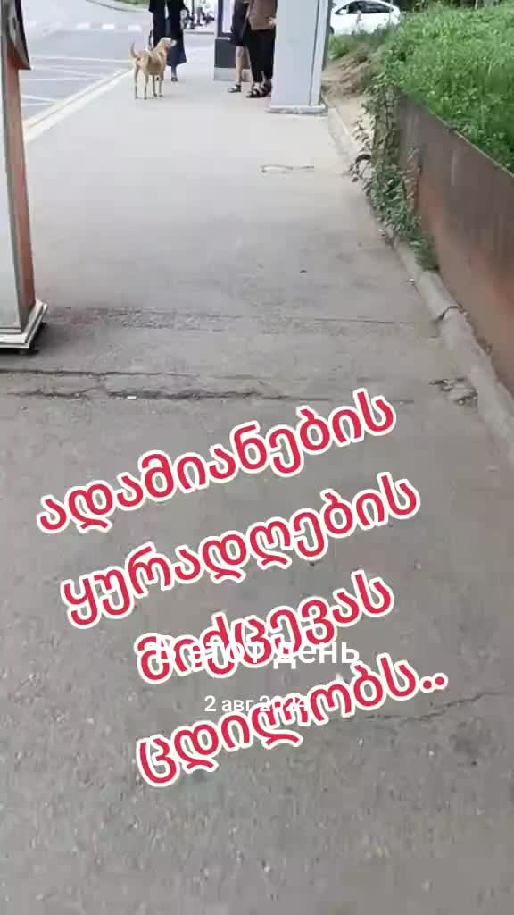 @แกแแแ๐