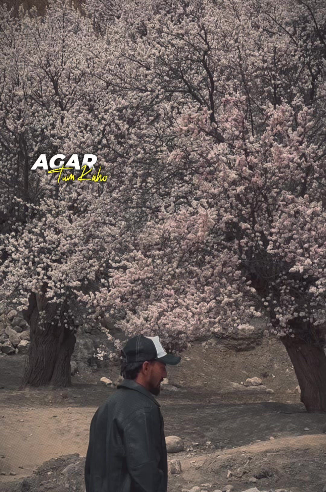 @Irfan-Moorkhunic