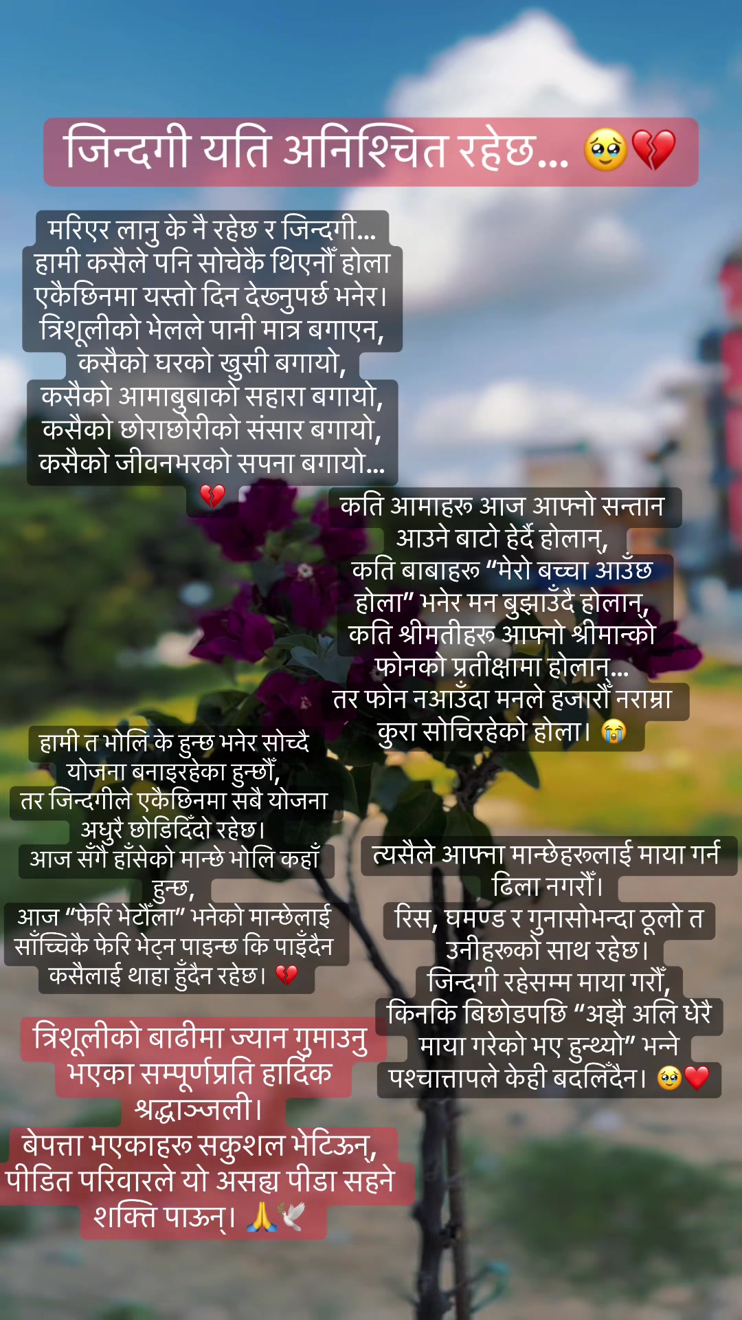 @Oshika bhattarai🧿