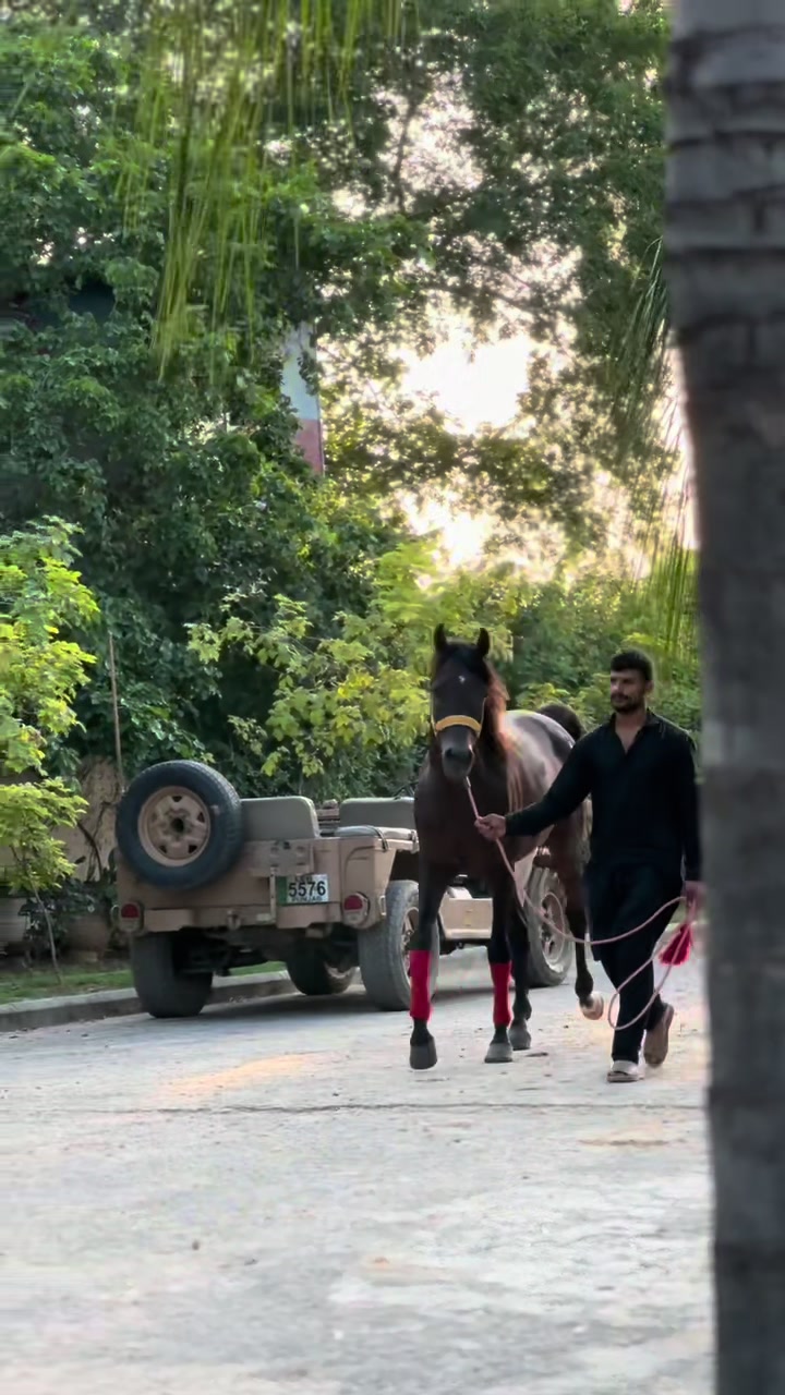 @وقاص روہی والا