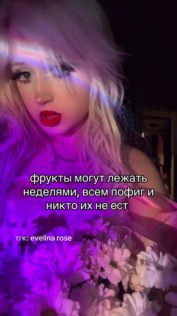 @˚₊‧꒰ა 𝐞𝐯𝐞𝐥𝐢𝐧𝐚 ໒꒱ ‧₊˚