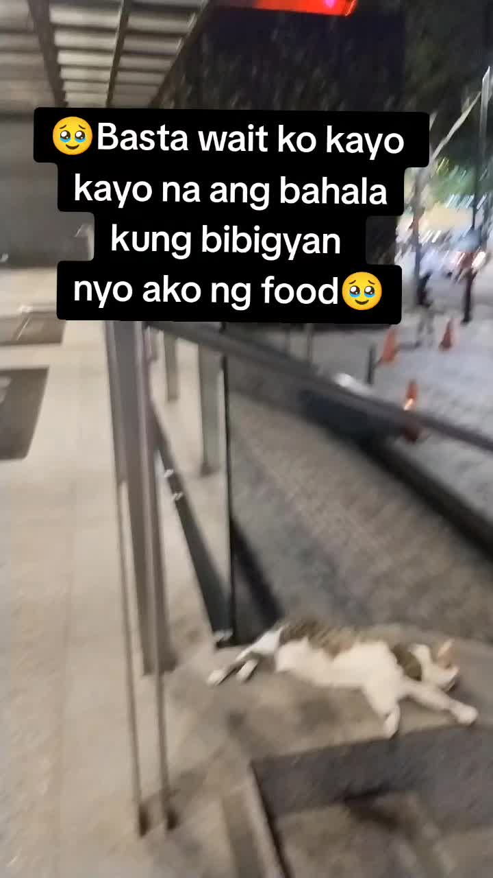 @Bingvibes