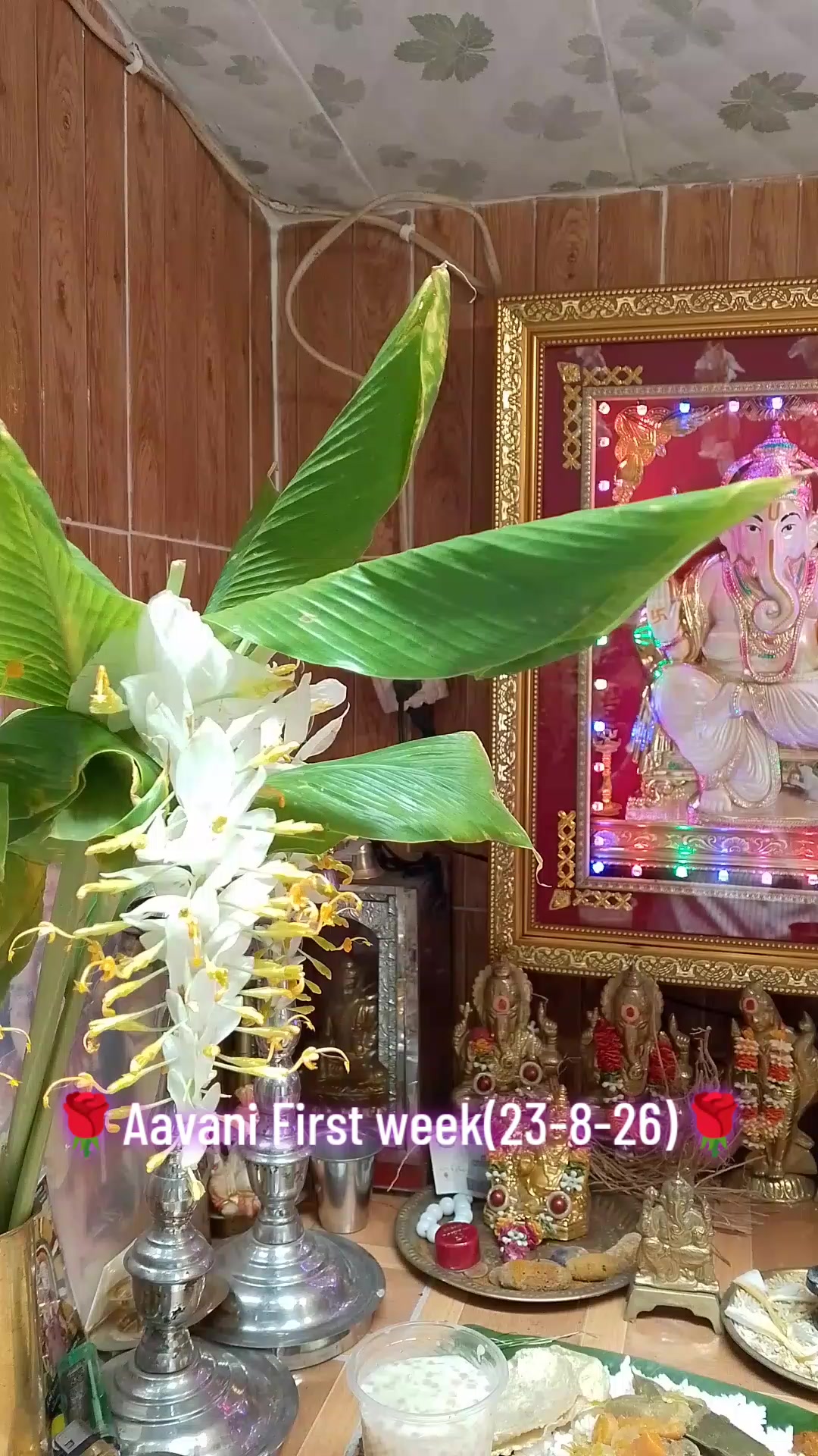@Pandiyan Thevan(Ko Aung Phyo)