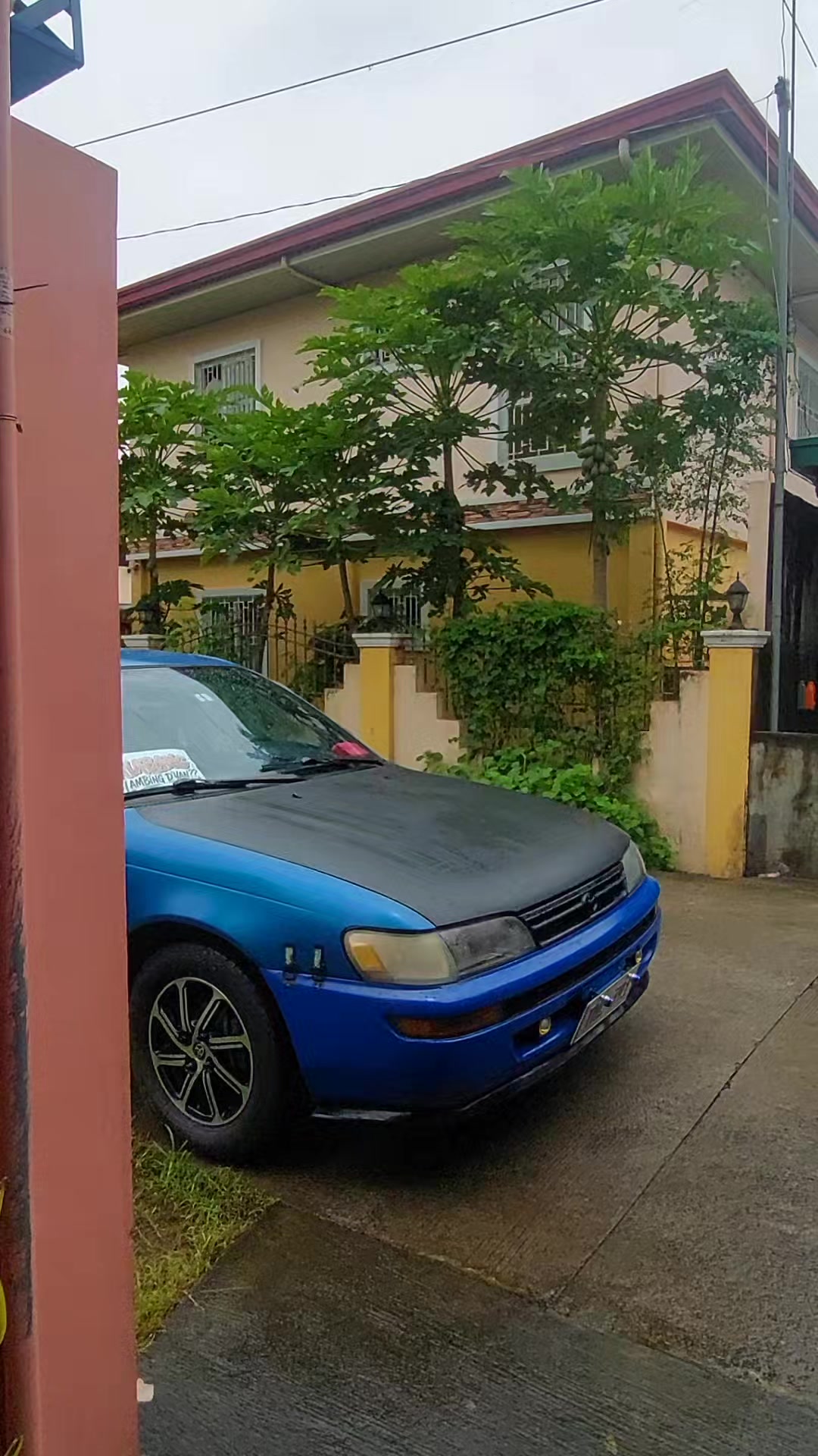 @Rafael Adona