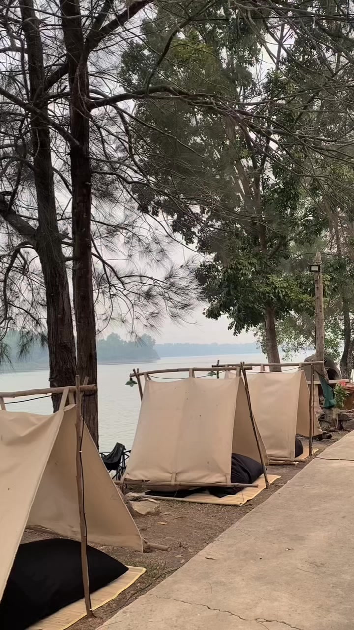 @yogi