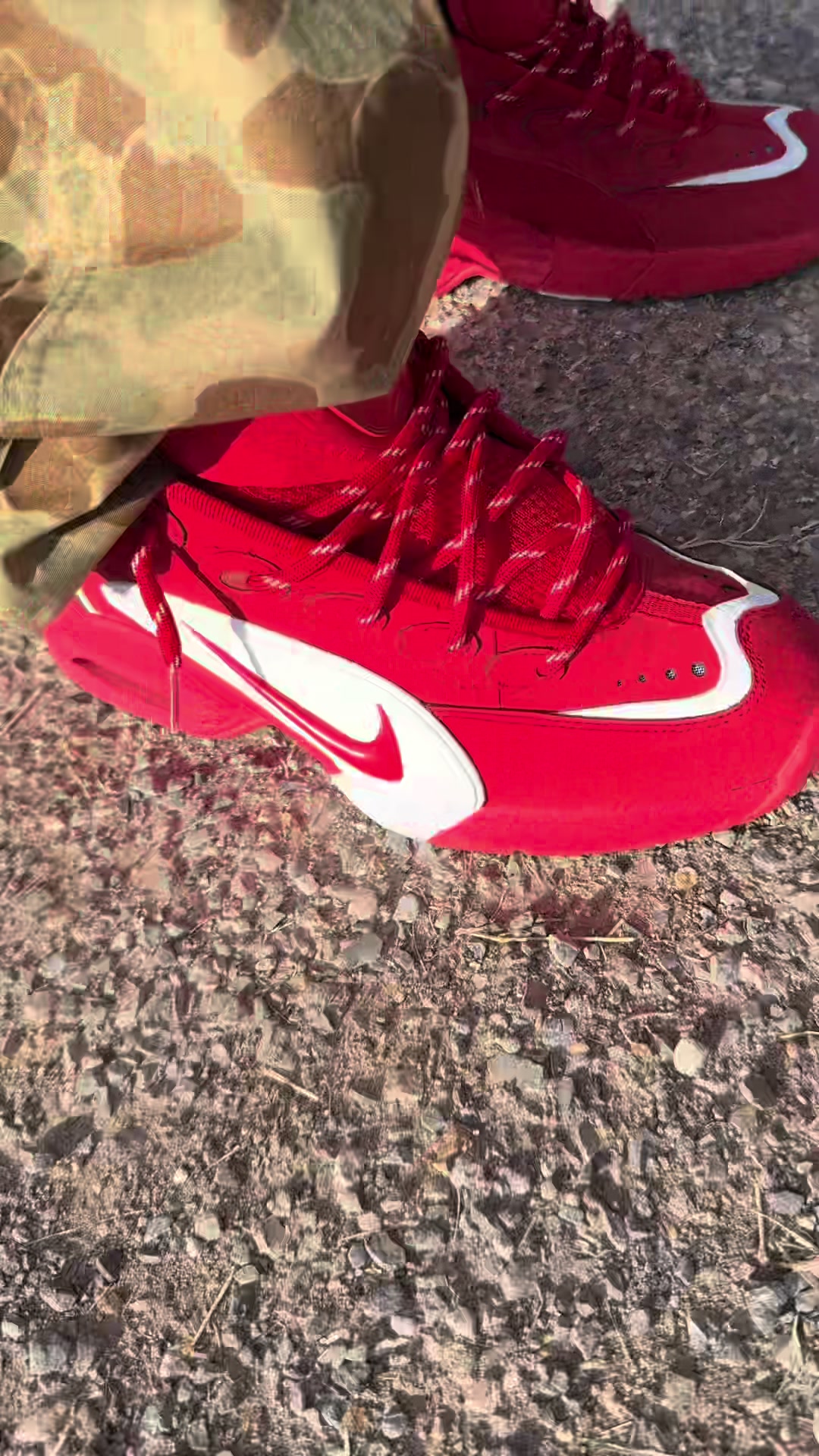 @The Shoenobi