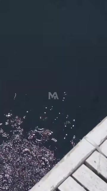 @Milo