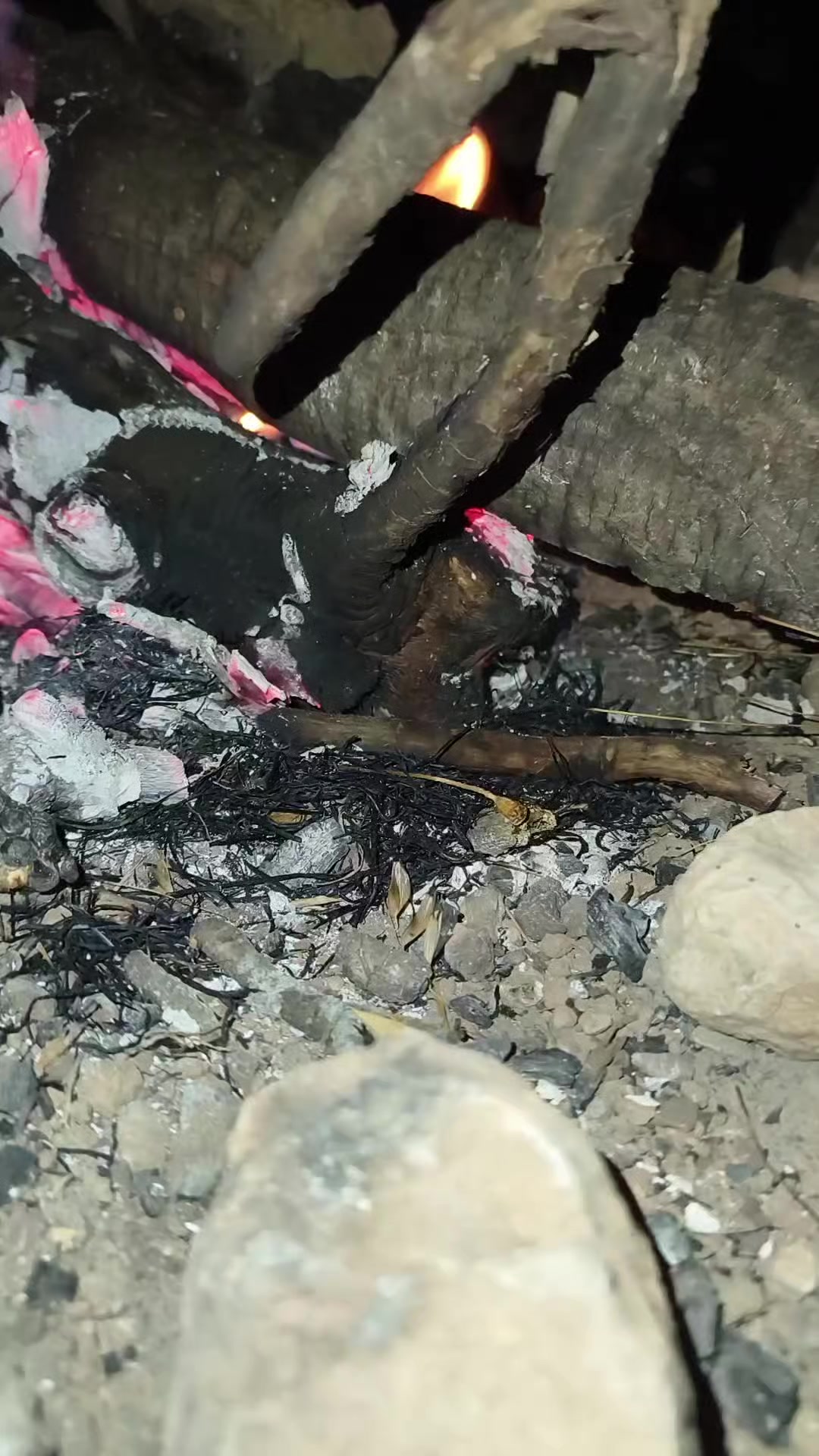 @🍁DOĞA ADAMI🍁