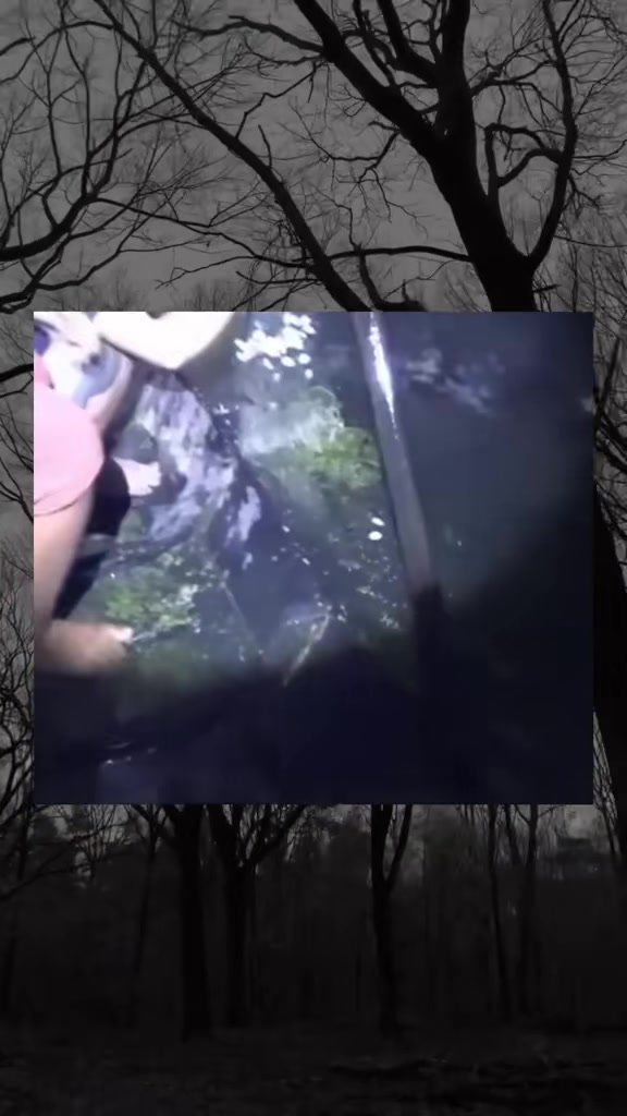 @SCARYVIDEOS