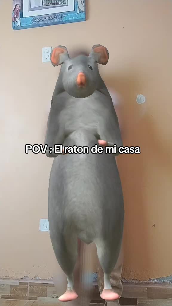 @๐ฉท๐๐๐ฃ๐๐ฉต